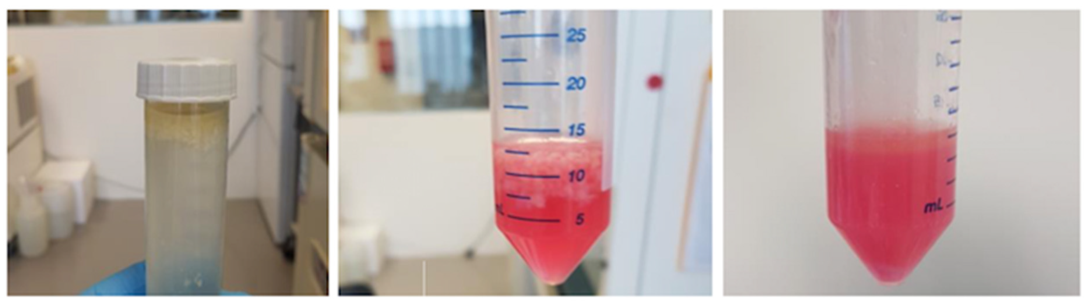 Mps 06 00003 g003 Mps 06 00003 g003