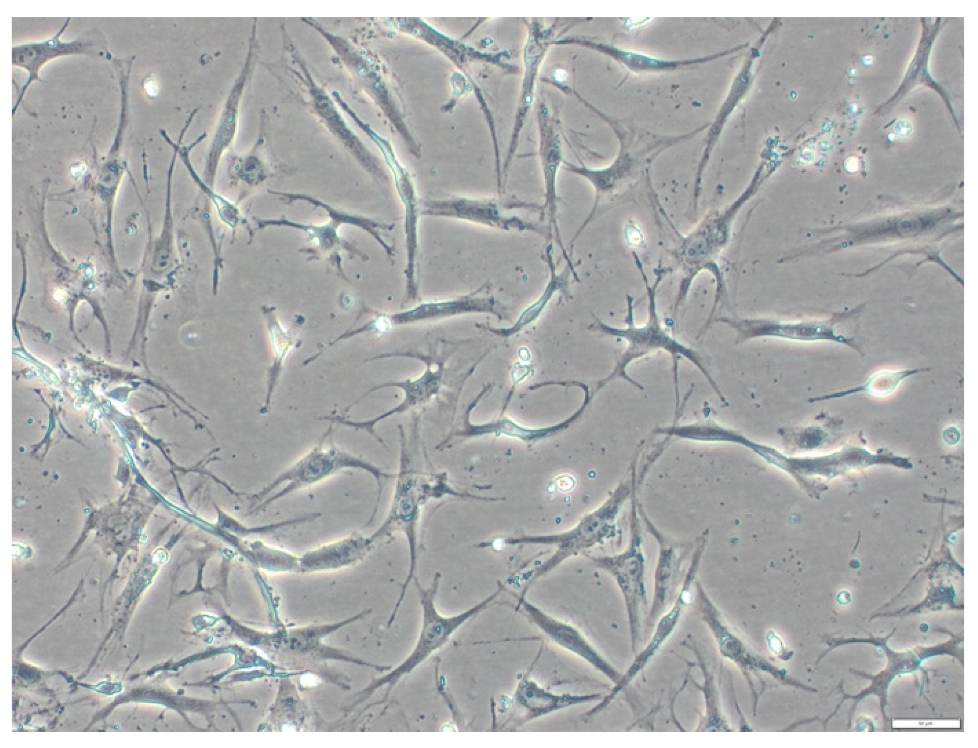 Mps 06 00003 g004 Mps 06 00003 g004