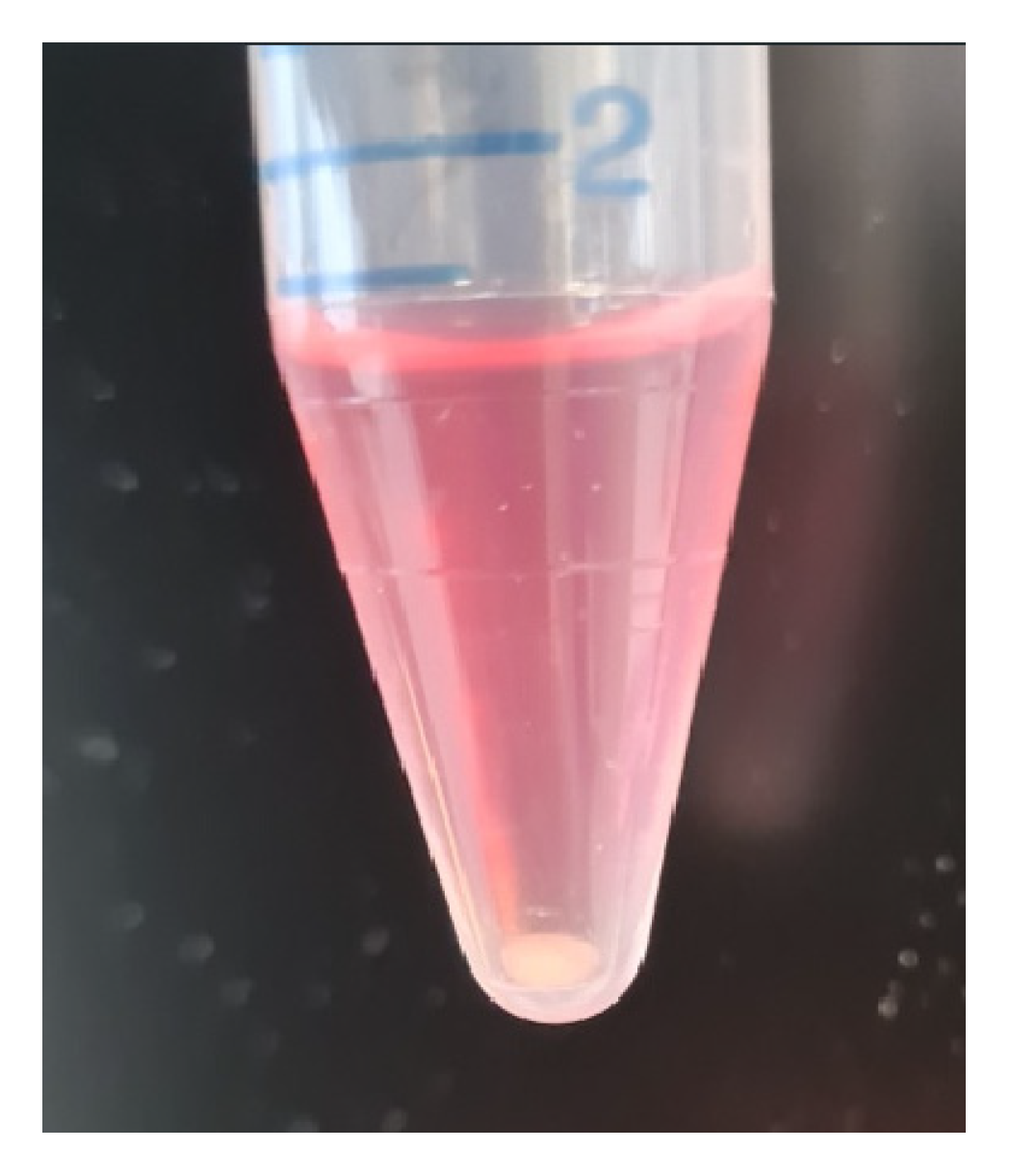 Mps 06 00003 g006 Mps 06 00003 g006