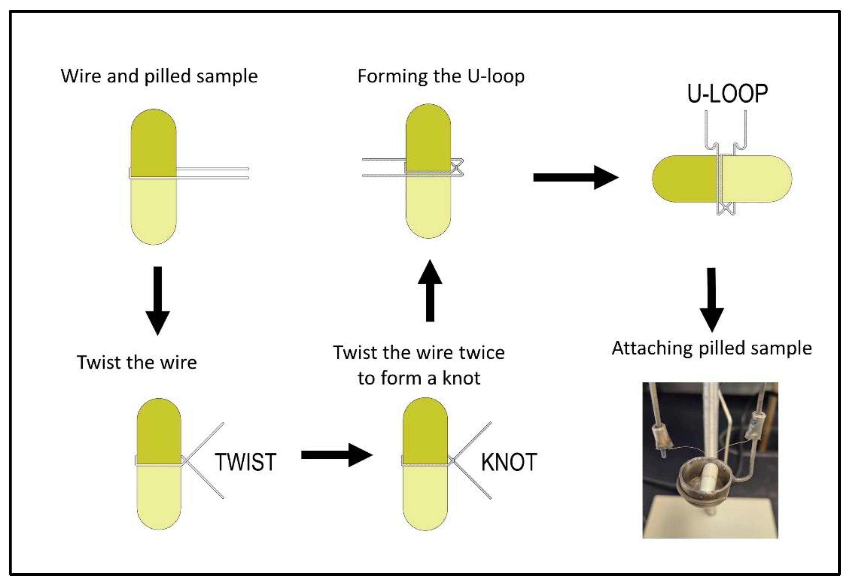Mps 06 00010 g003 Mps 06 00010 g003