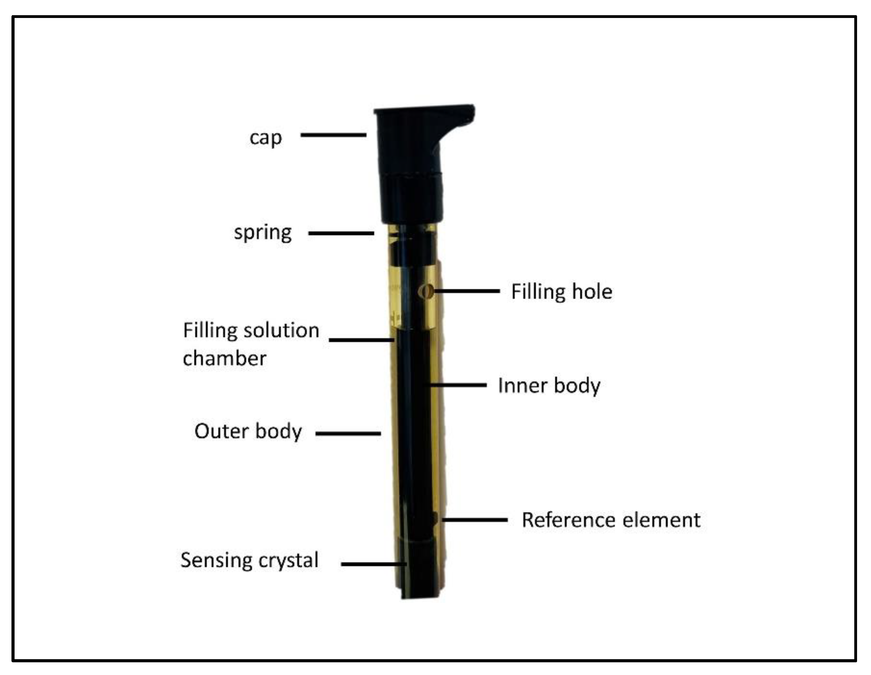 Mps 06 00010 g006 Mps 06 00010 g006