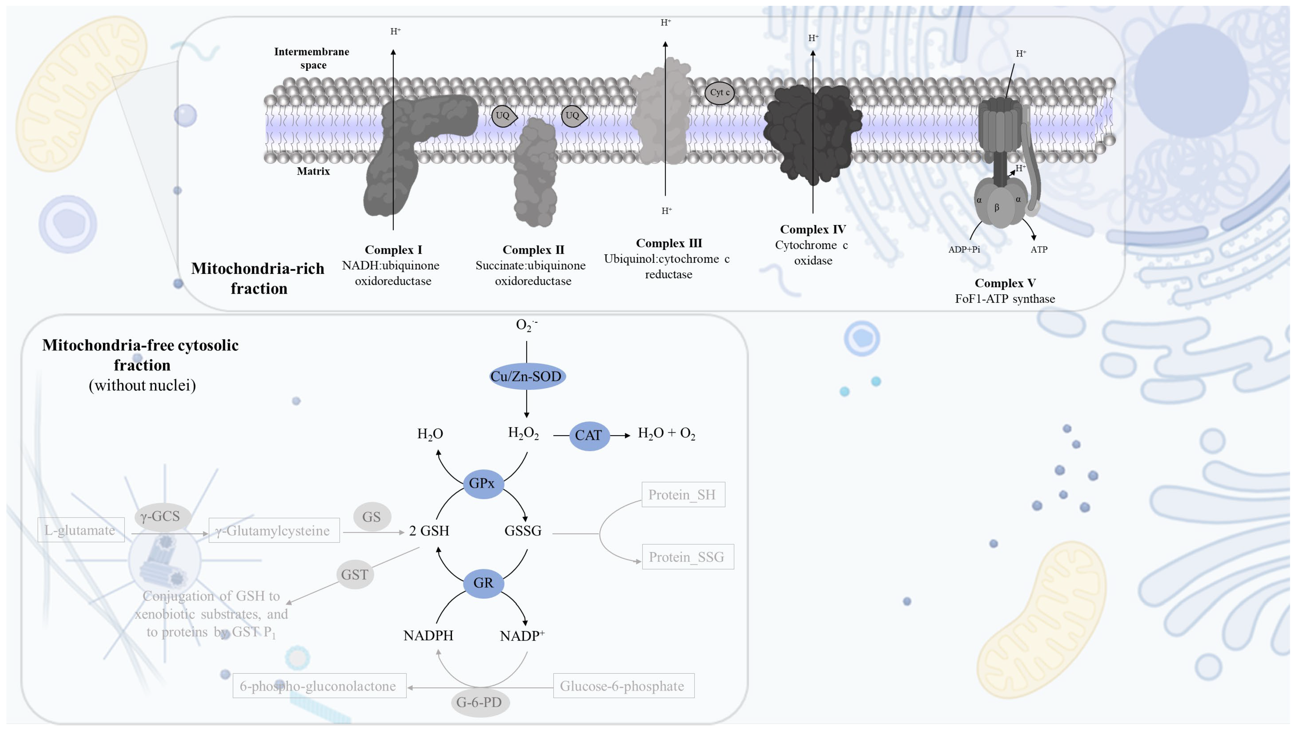 Mps 06 00032 g001 Mps 06 00032 g001