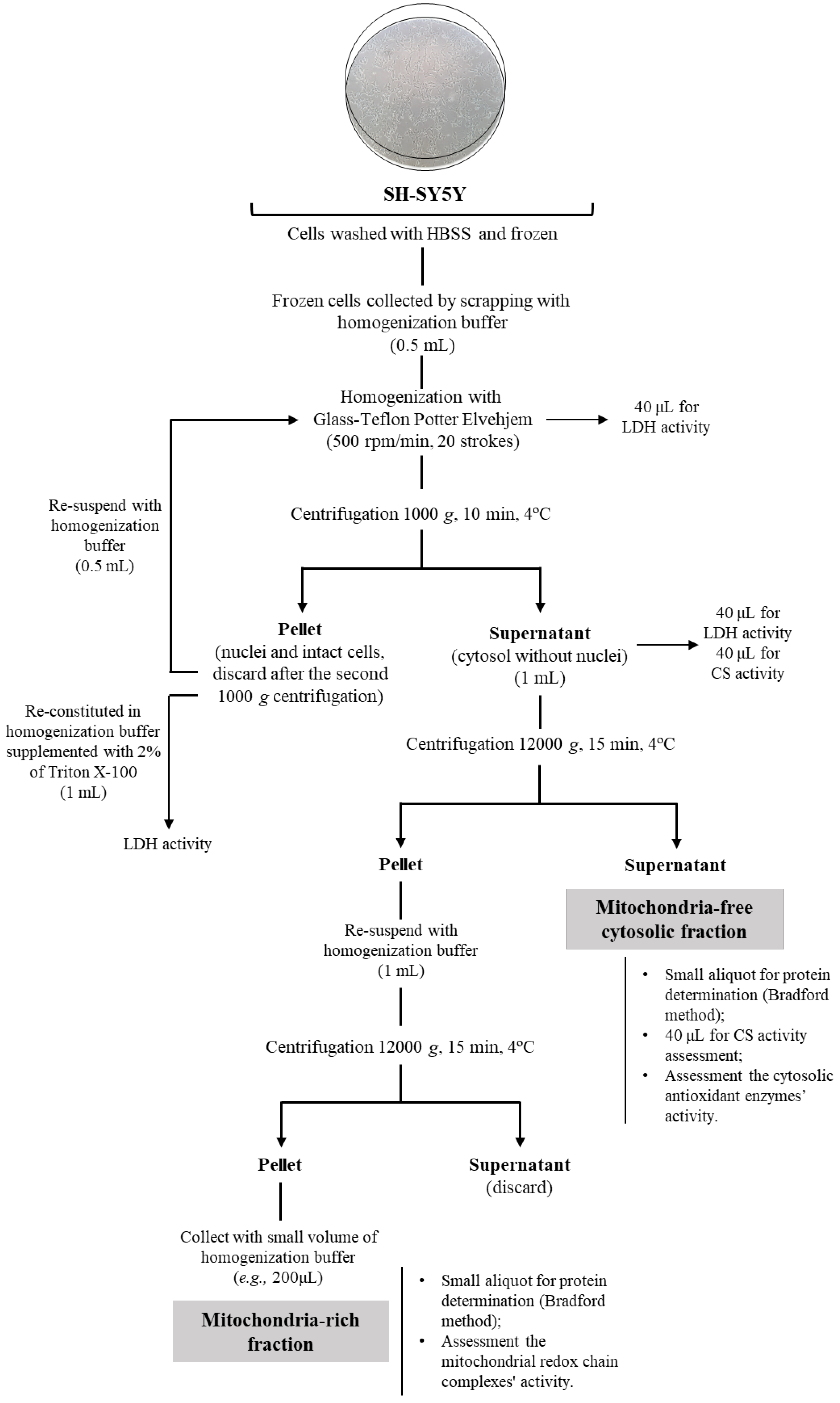 Mps 06 00032 g002 Mps 06 00032 g002