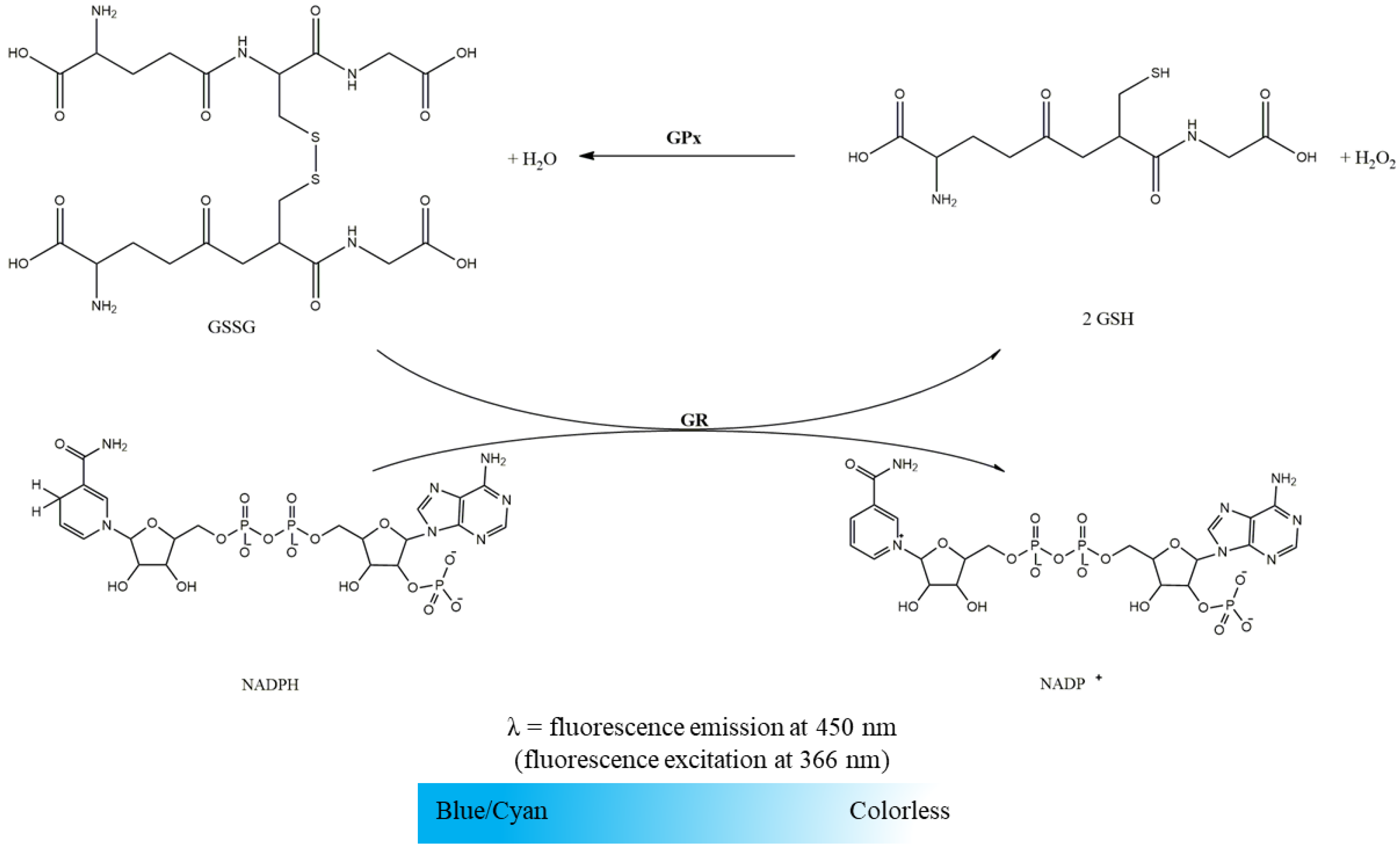 Mps 06 00032 g005 Mps 06 00032 g005