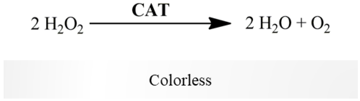 Mps 06 00032 g006 Mps 06 00032 g006
