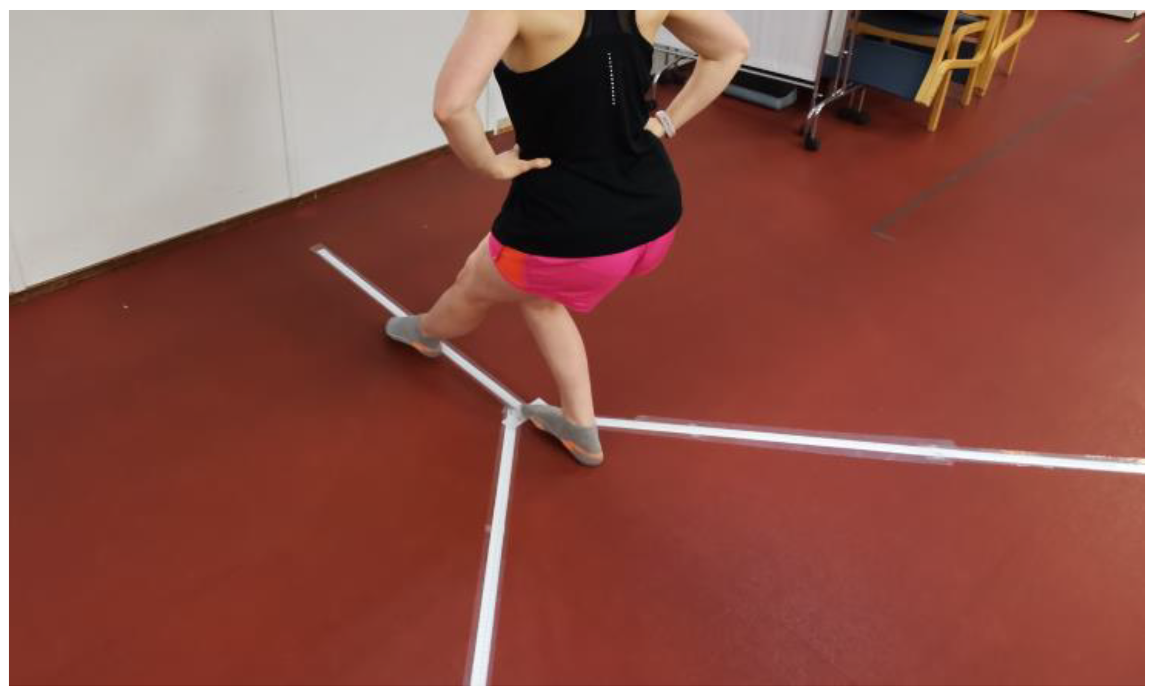 Mps 06 00041 g001 Mps 06 00041 g001