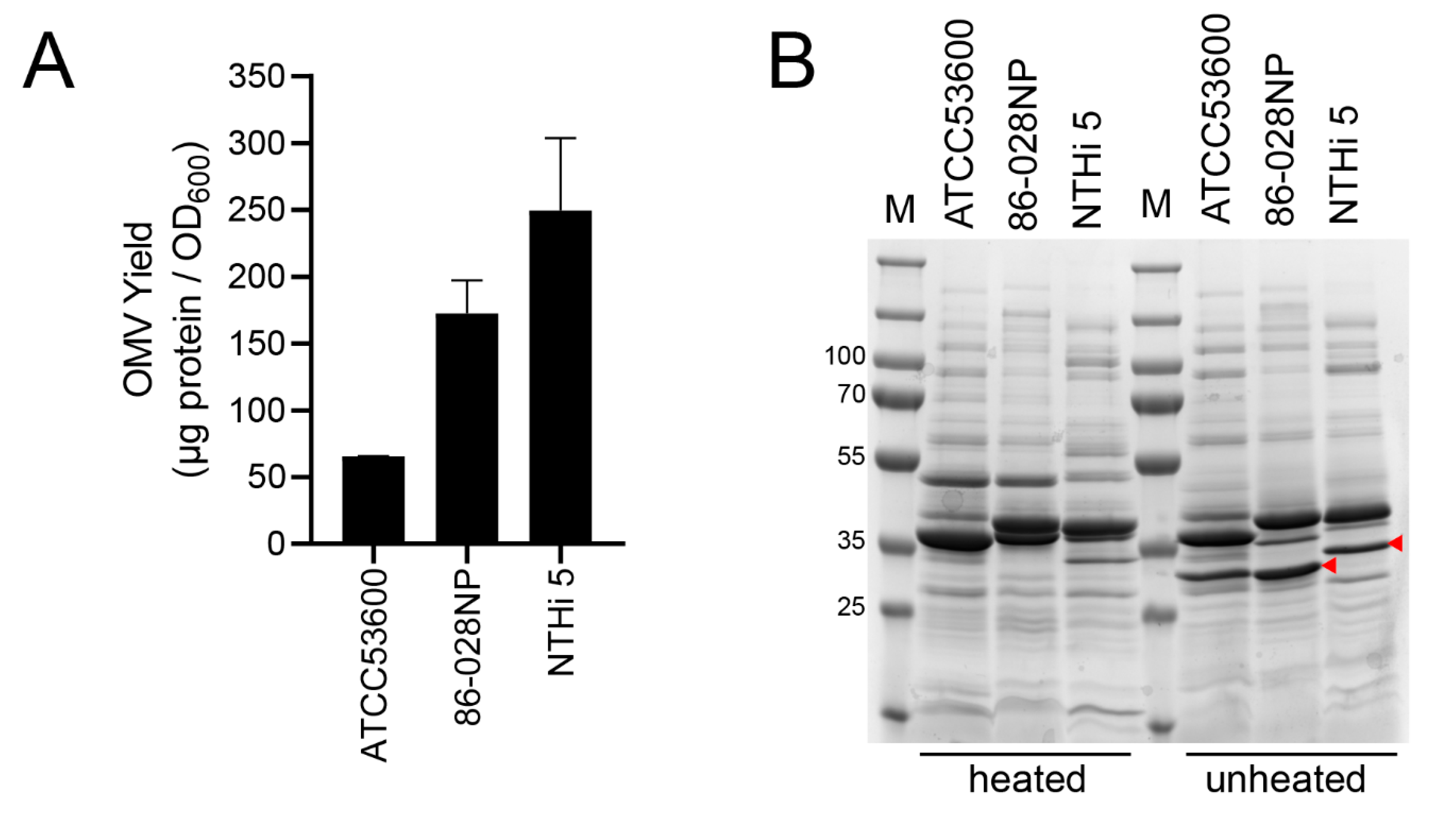 Mps 06 00042 g001 Mps 06 00042 g001