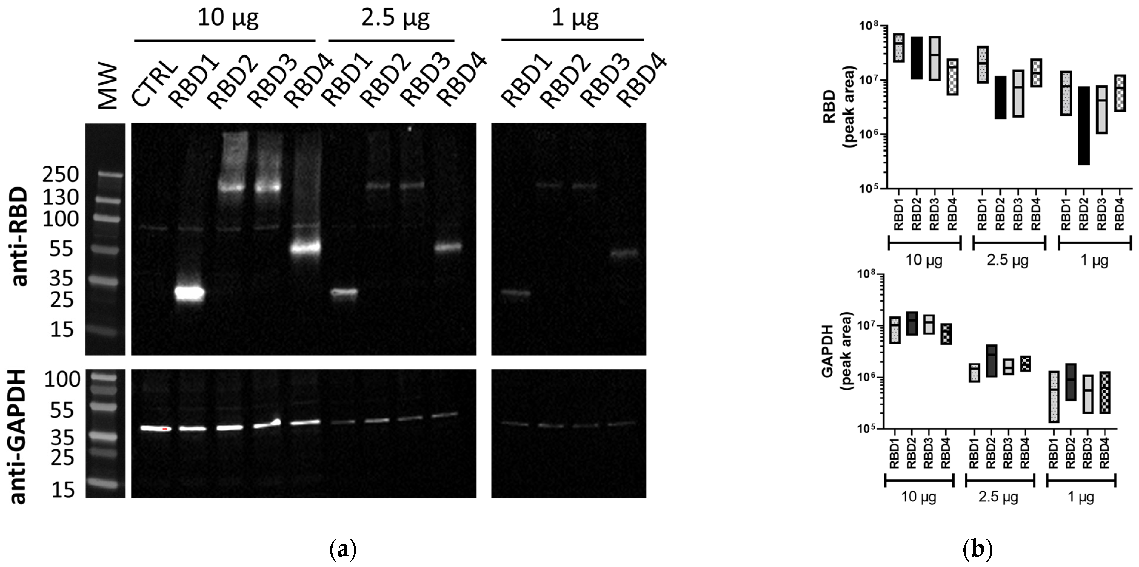 MPs Free FullText Comparison of Automated and Traditional Western