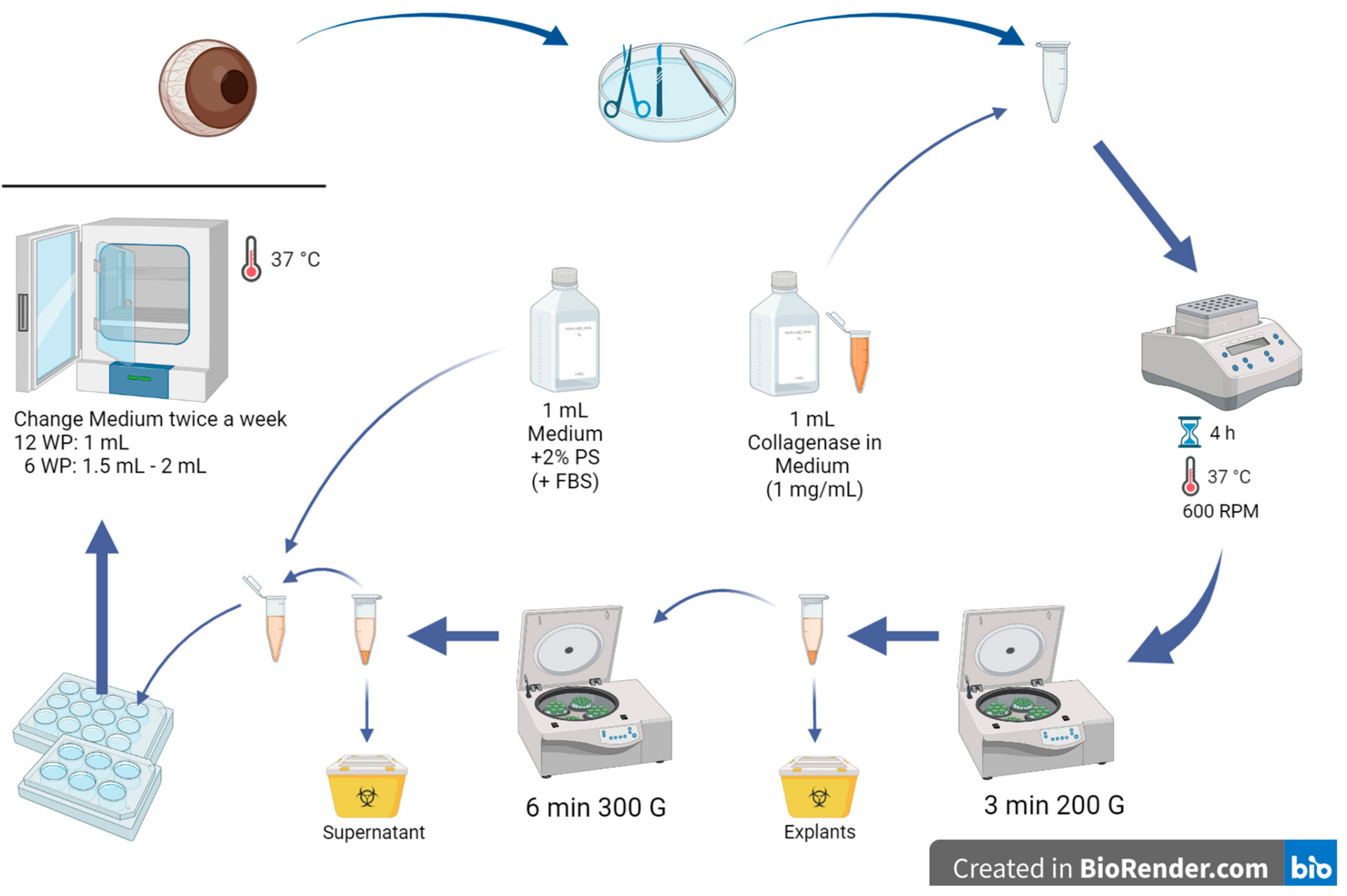 Mps 06 00050 g002 Mps 06 00050 g002
