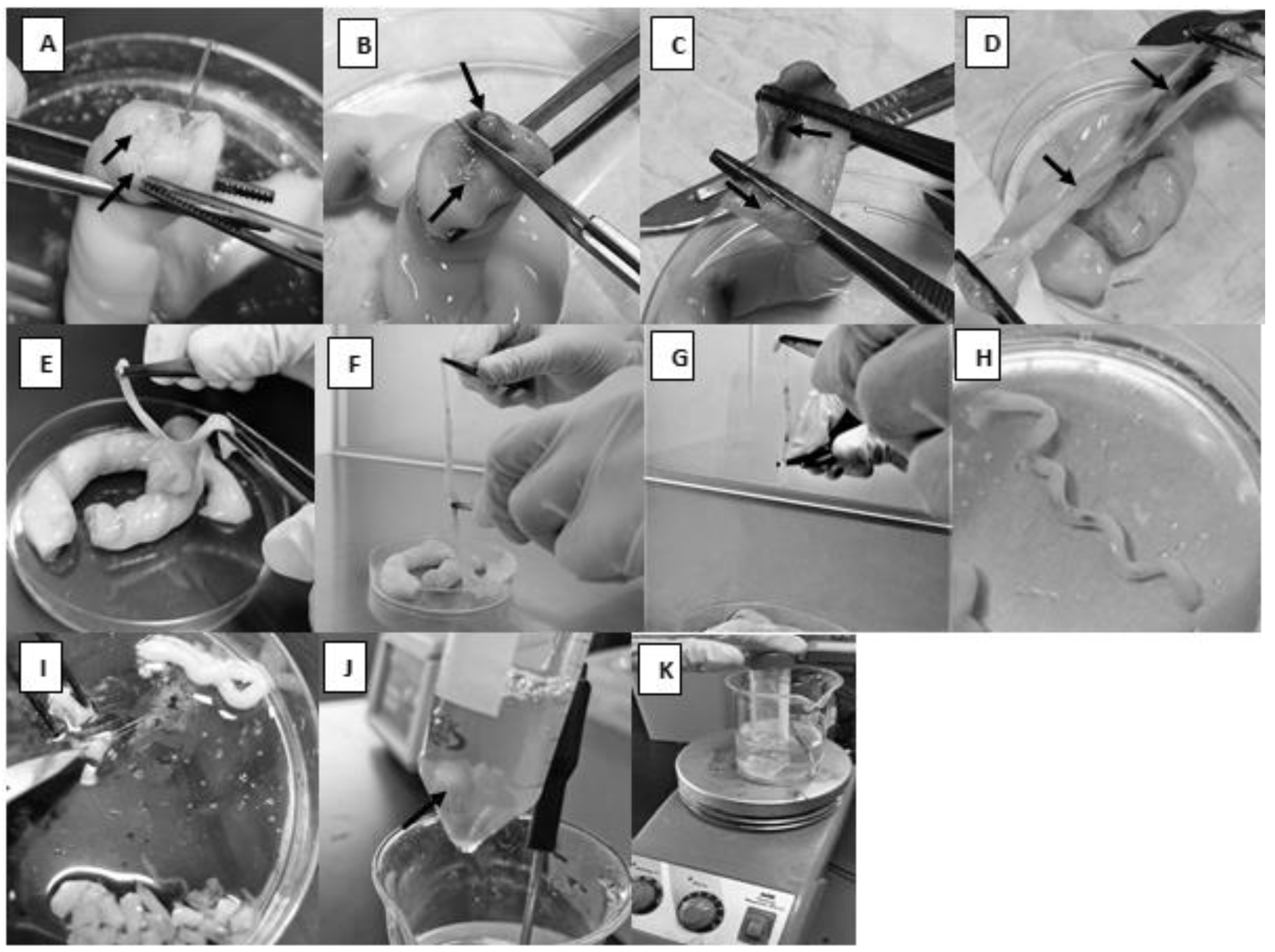 Mps 06 00054 g001 Mps 06 00054 g001