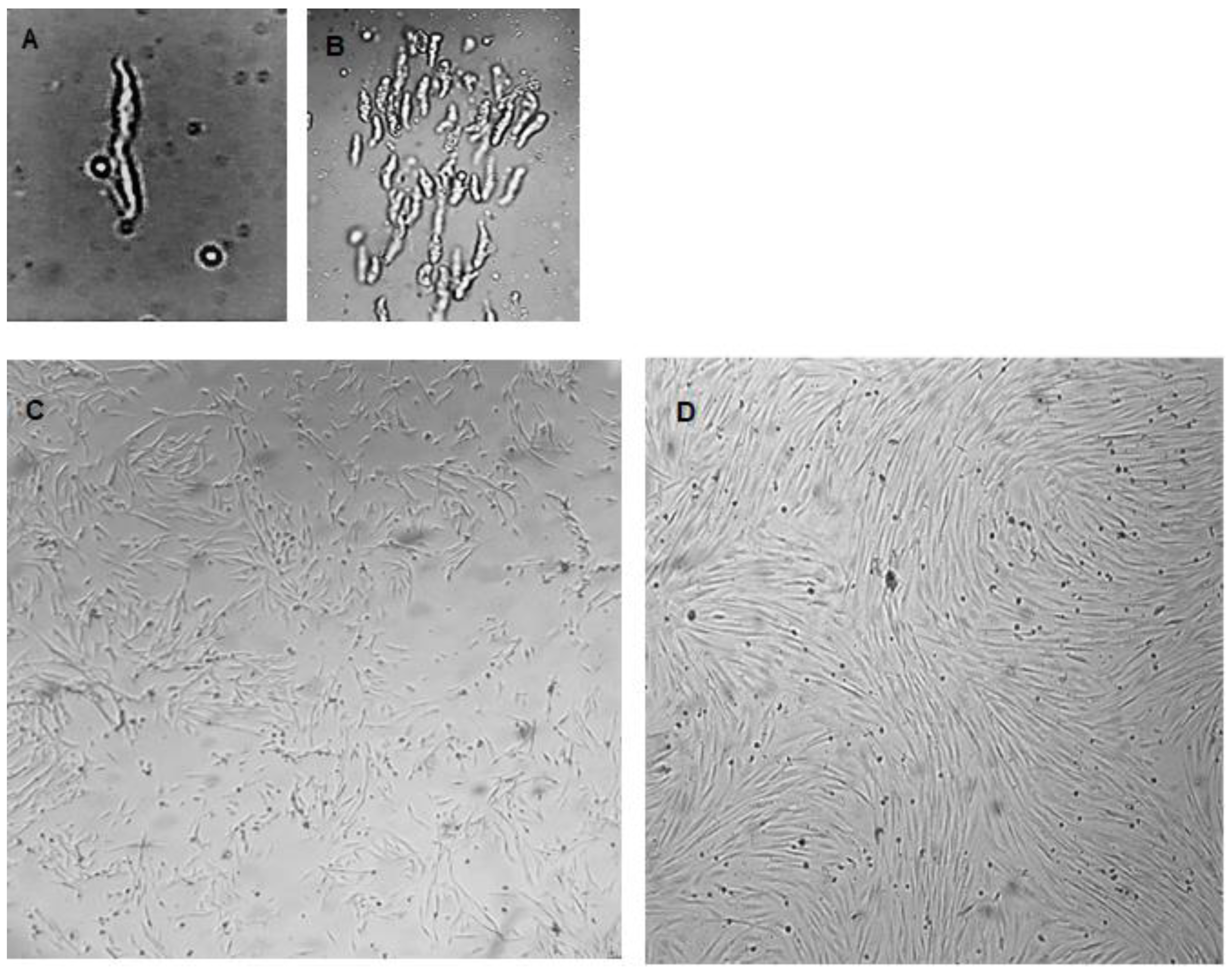 Mps 06 00054 g002 Mps 06 00054 g002