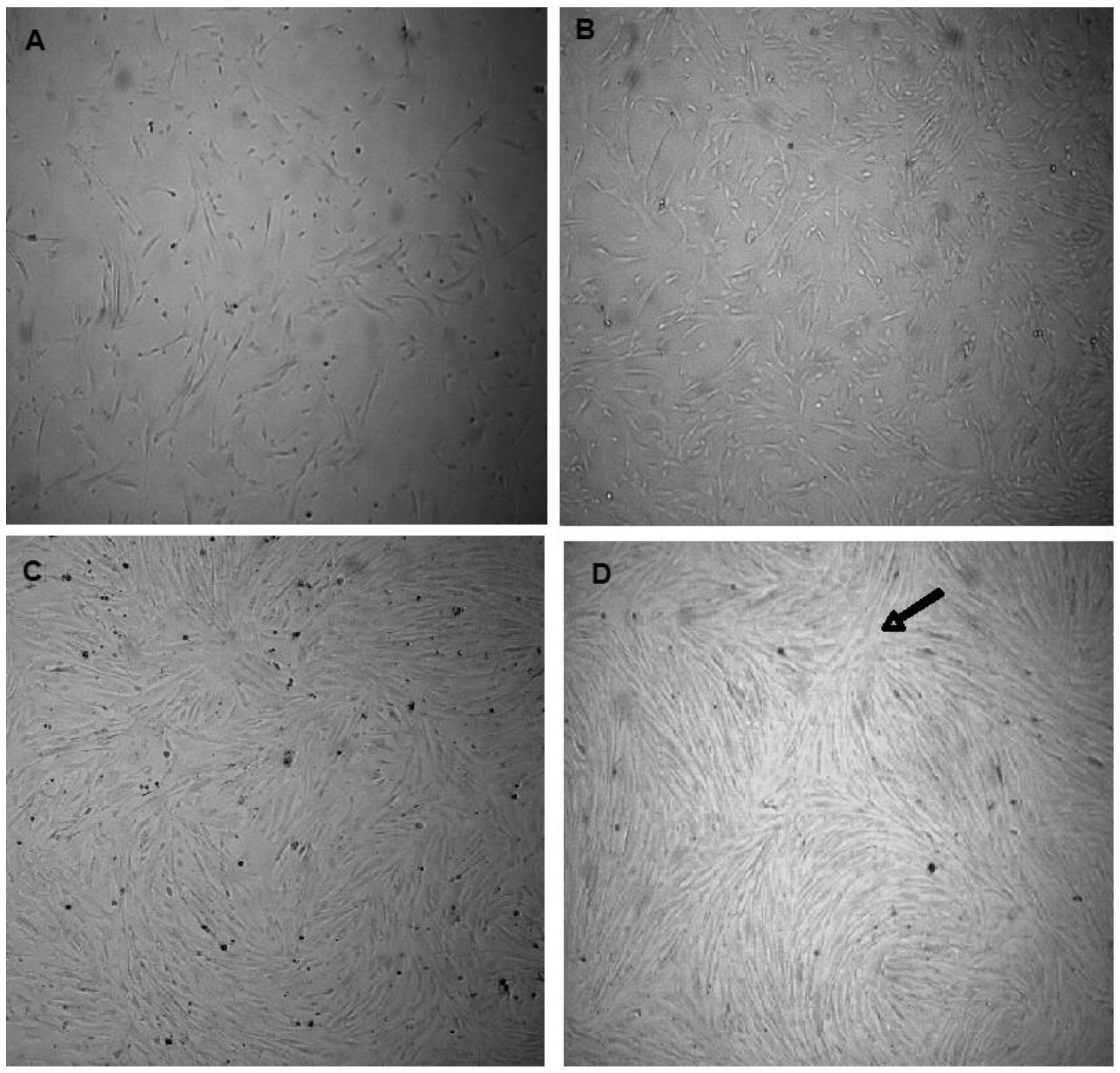 Mps 06 00054 g003 Mps 06 00054 g003