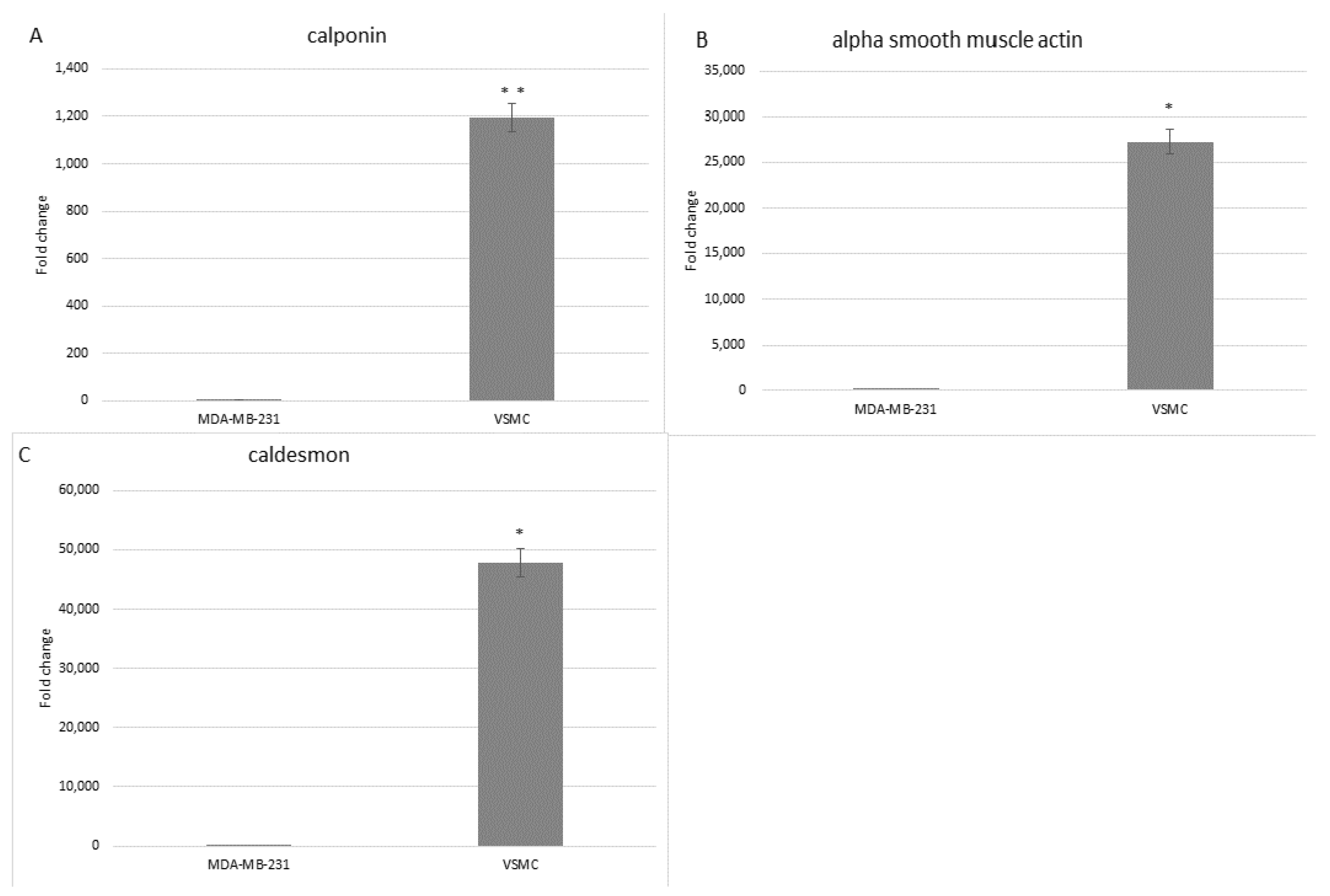 Mps 06 00054 g004 Mps 06 00054 g004