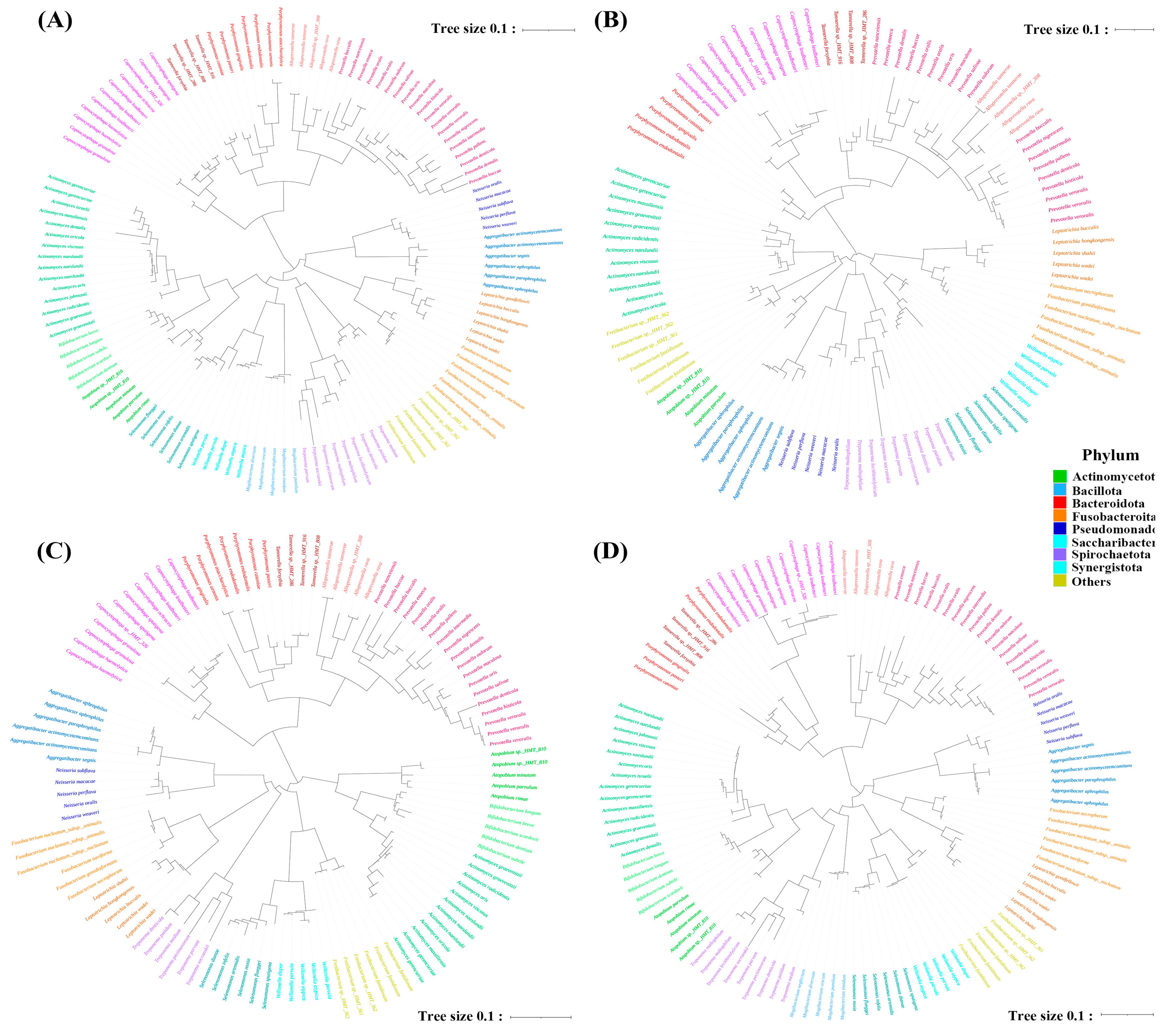 Mps 06 00071 g003 Mps 06 00071 g003
