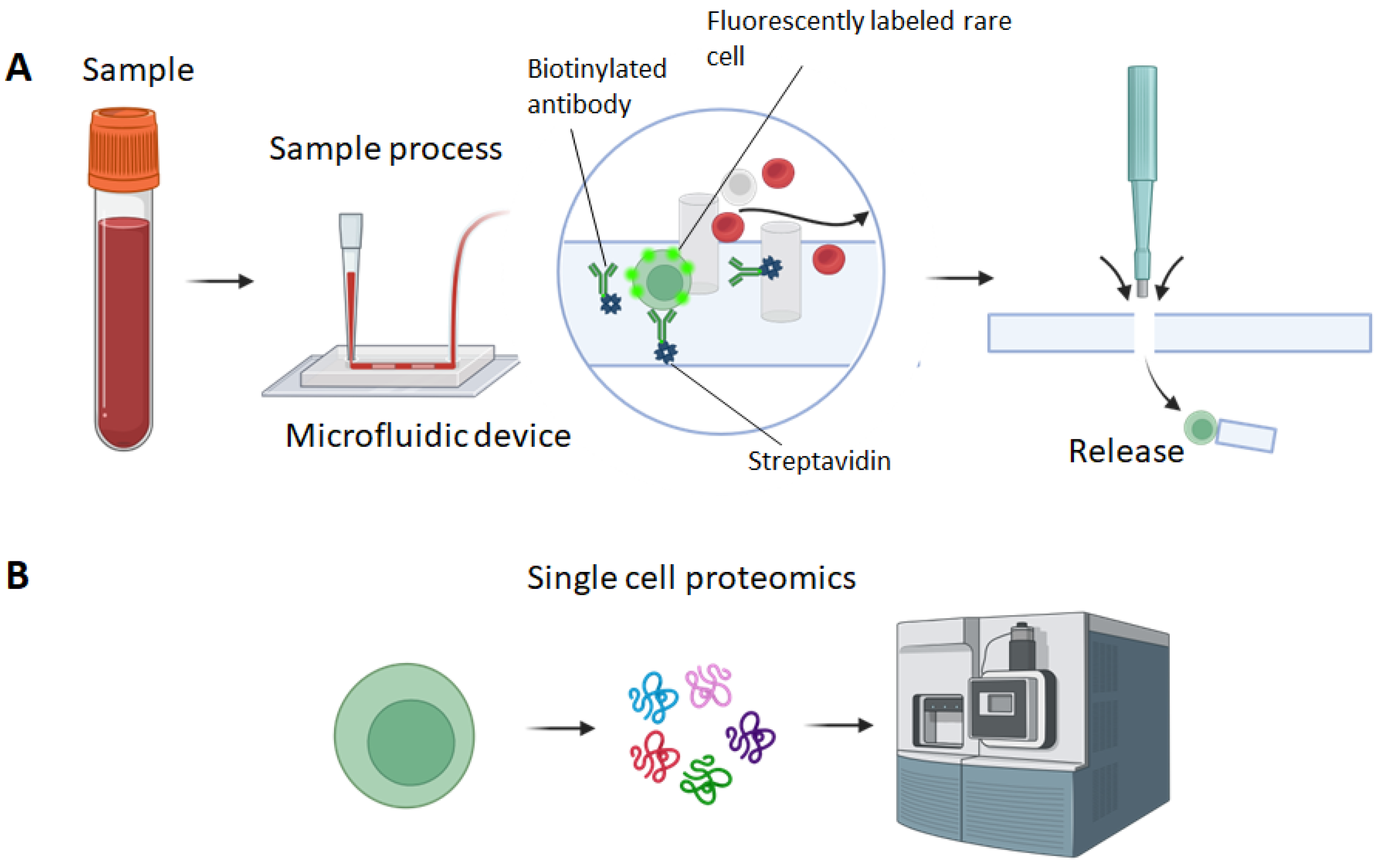 MPs Free FullText A Micropillar Array Based Microfluidic Device