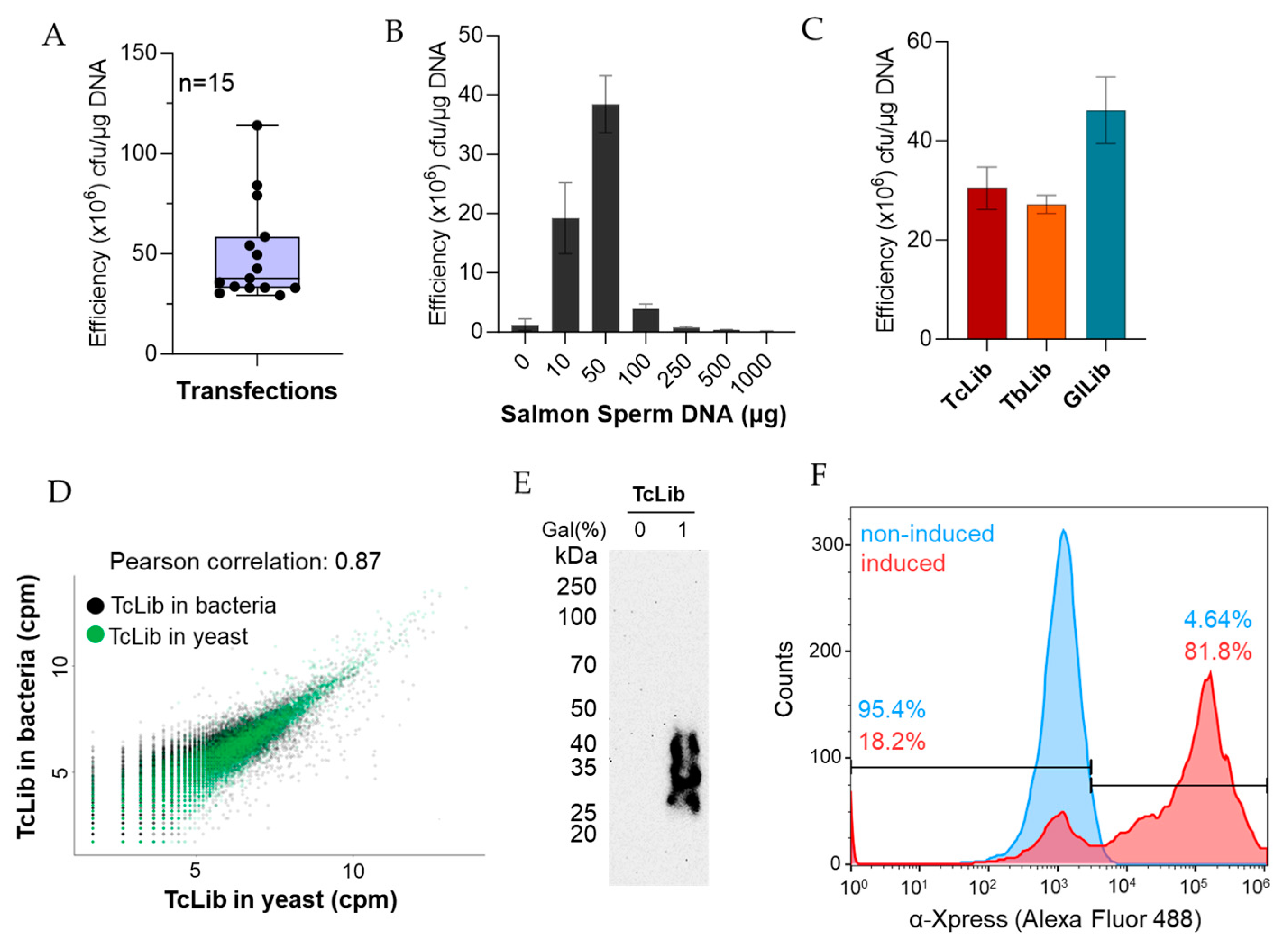 Mps 06 00089 g002 Mps 06 00089 g002