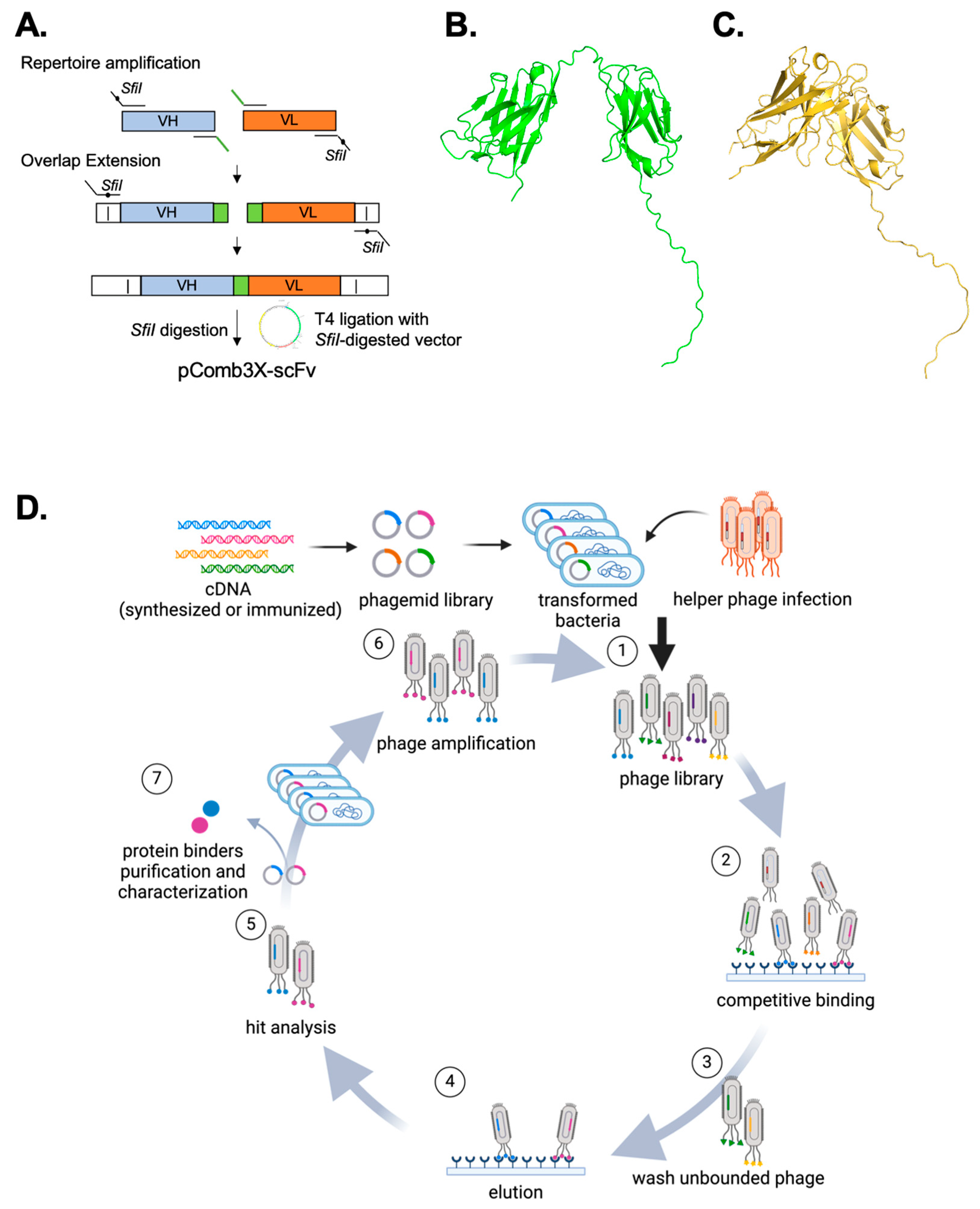 Mps 07 00013 g002 Mps 07 00013 g002