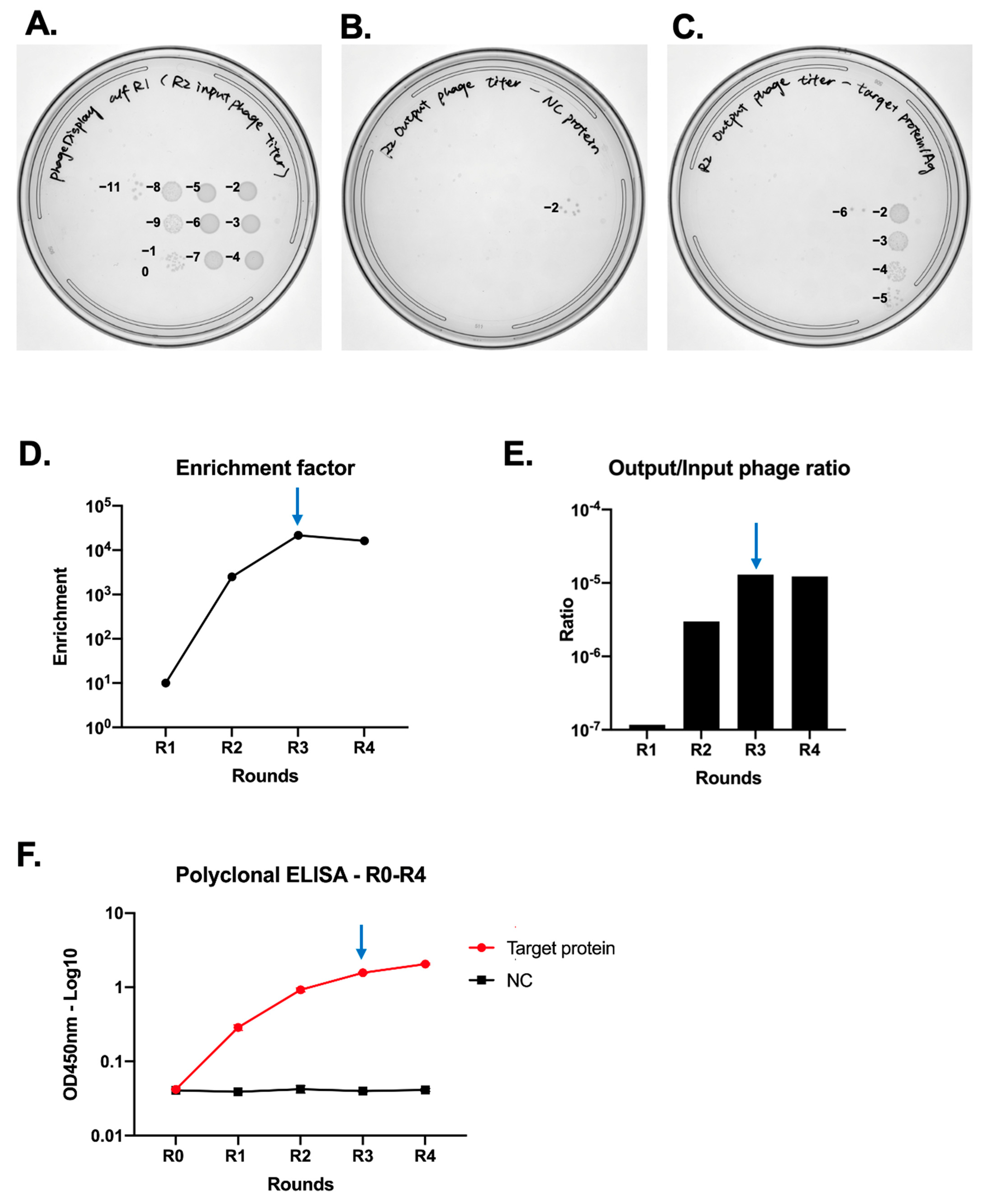Mps 07 00013 g004 Mps 07 00013 g004
