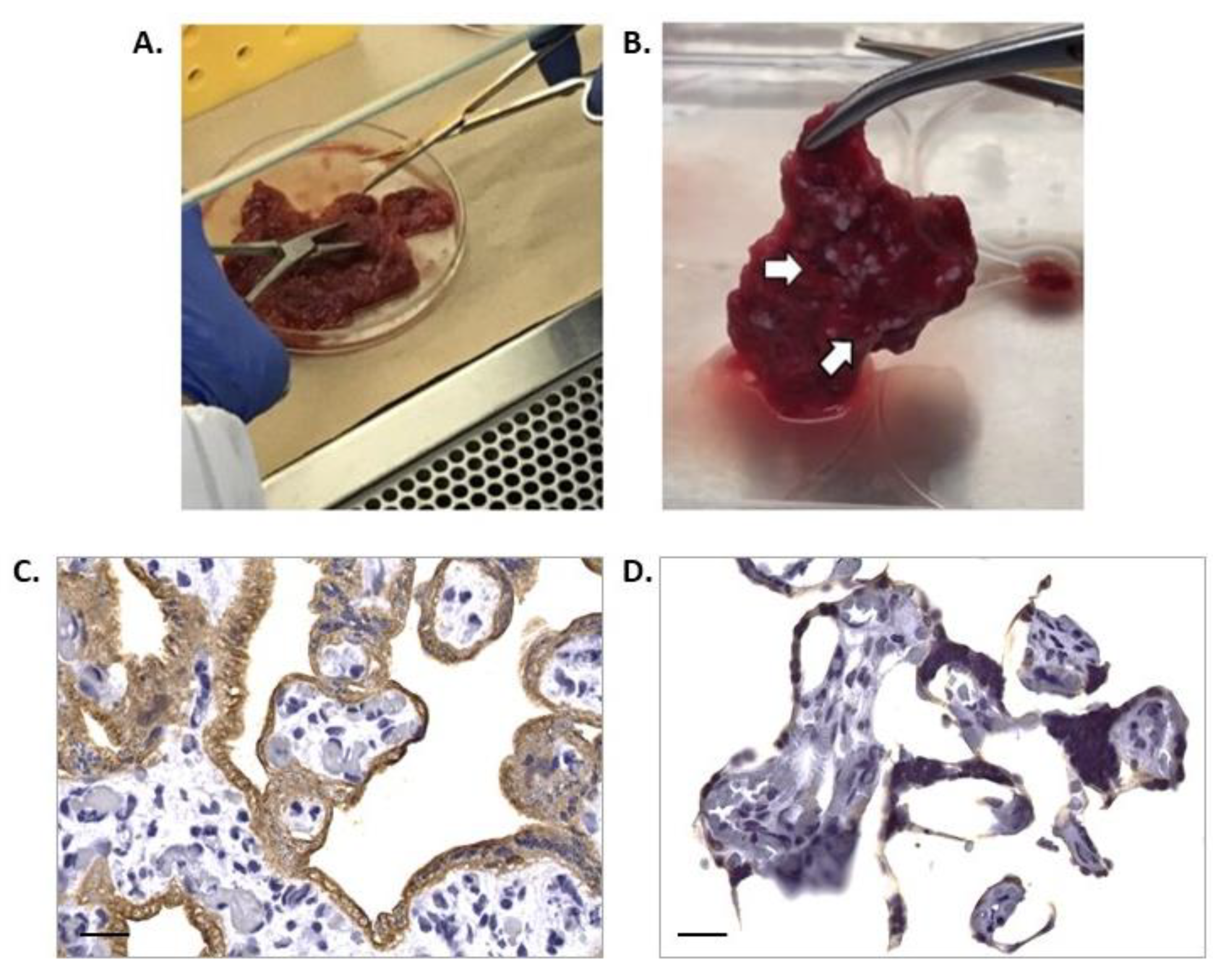 Mps 07 00016 g003 Mps 07 00016 g003