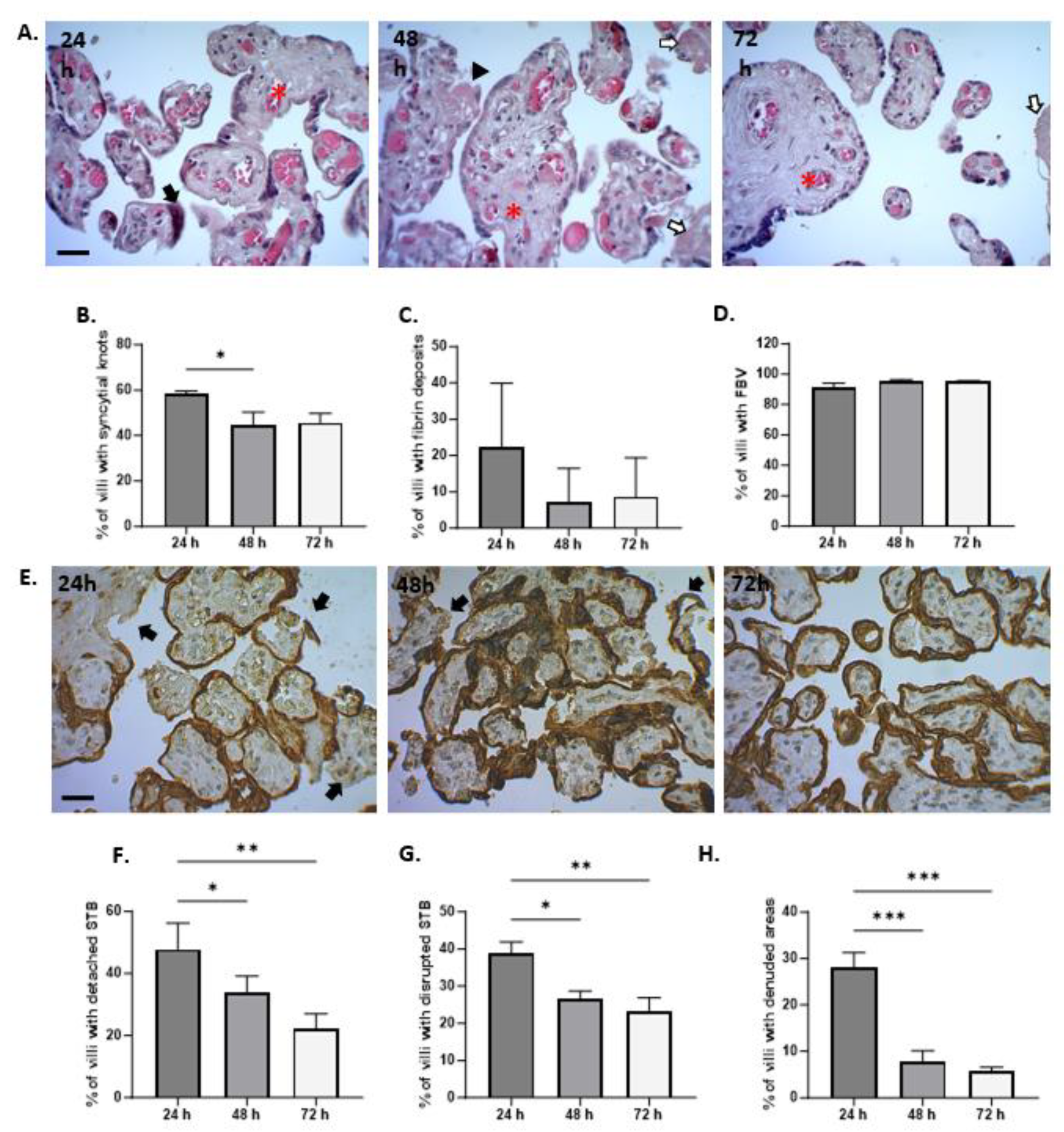 Mps 07 00016 g004 Mps 07 00016 g004