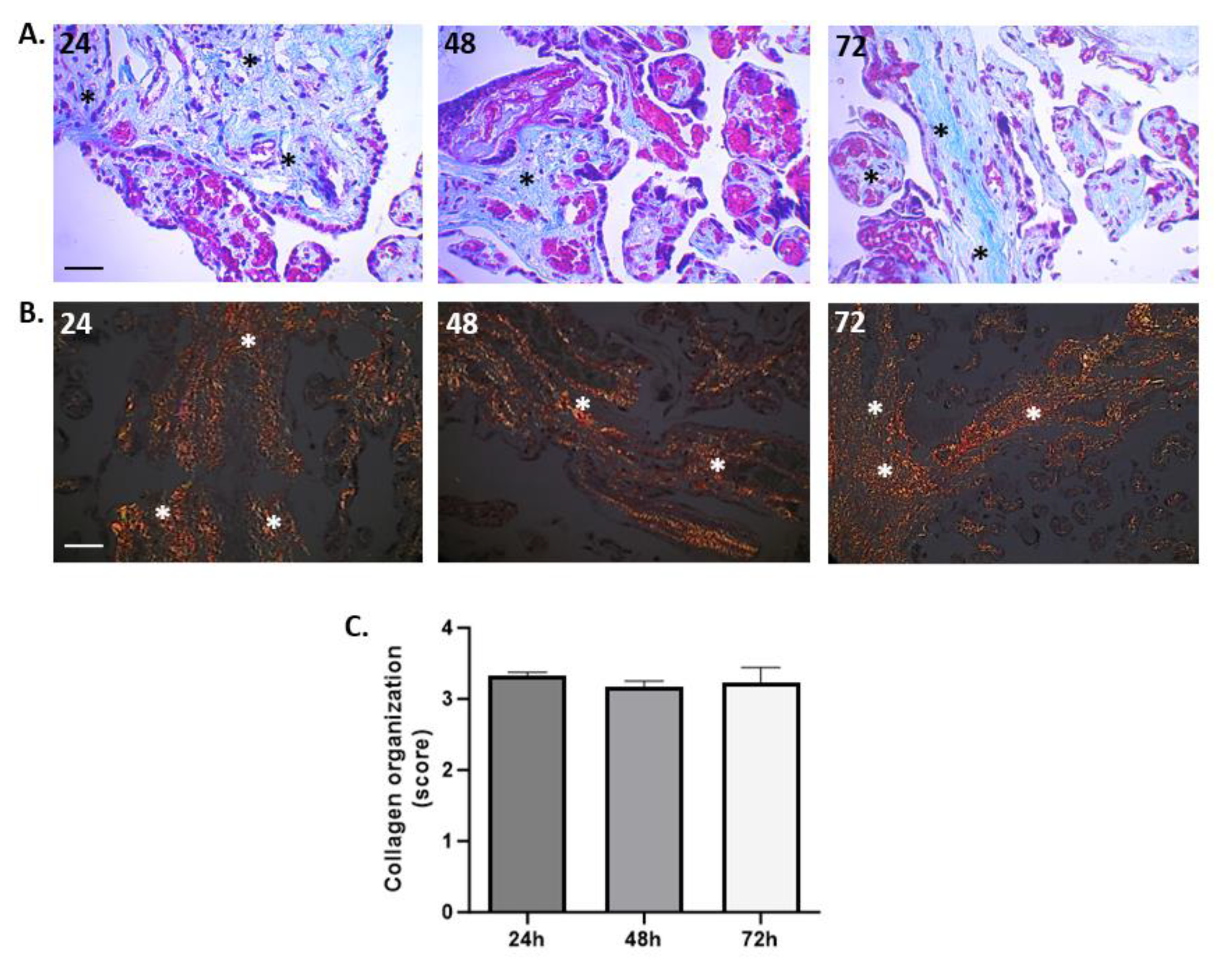 Mps 07 00016 g005 Mps 07 00016 g005