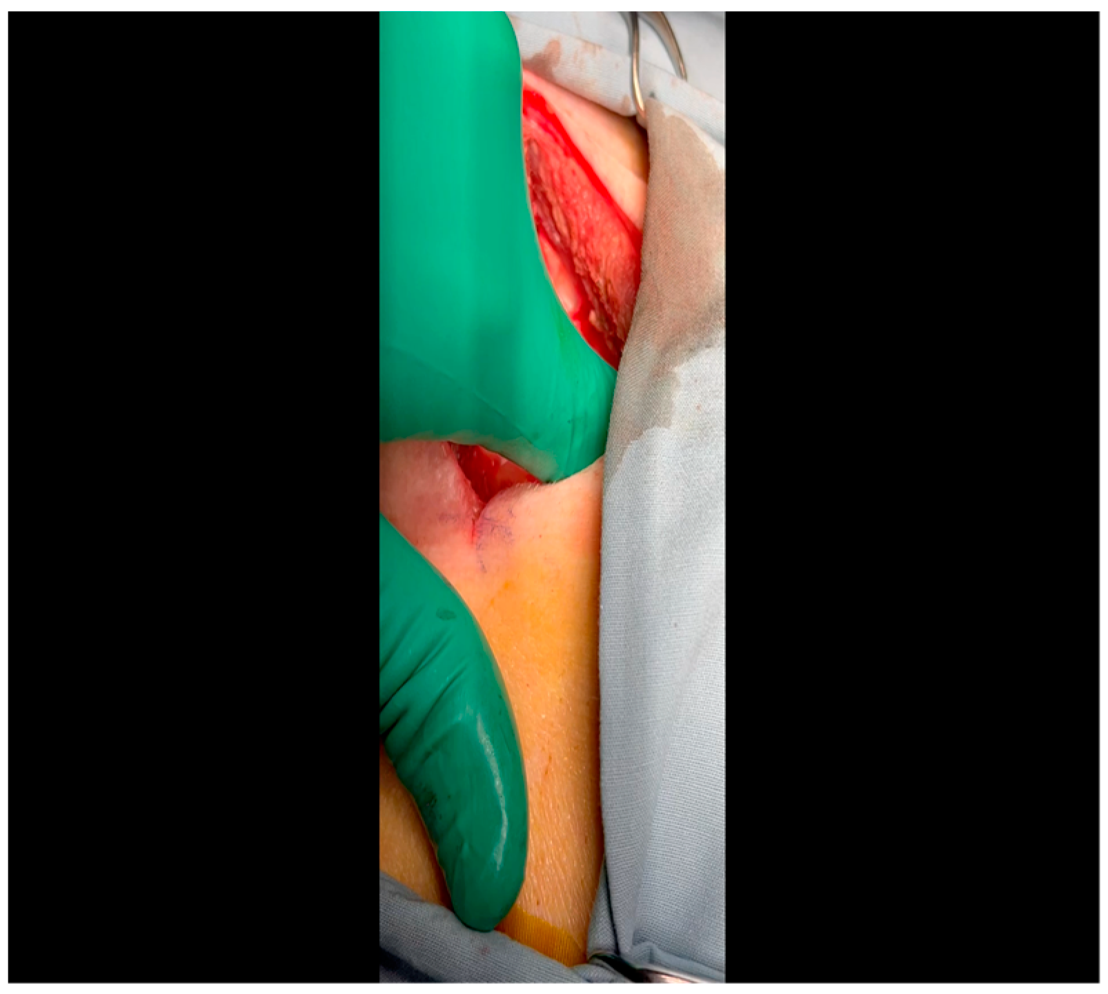 Mps 07 00017 g002 Mps 07 00017 g002