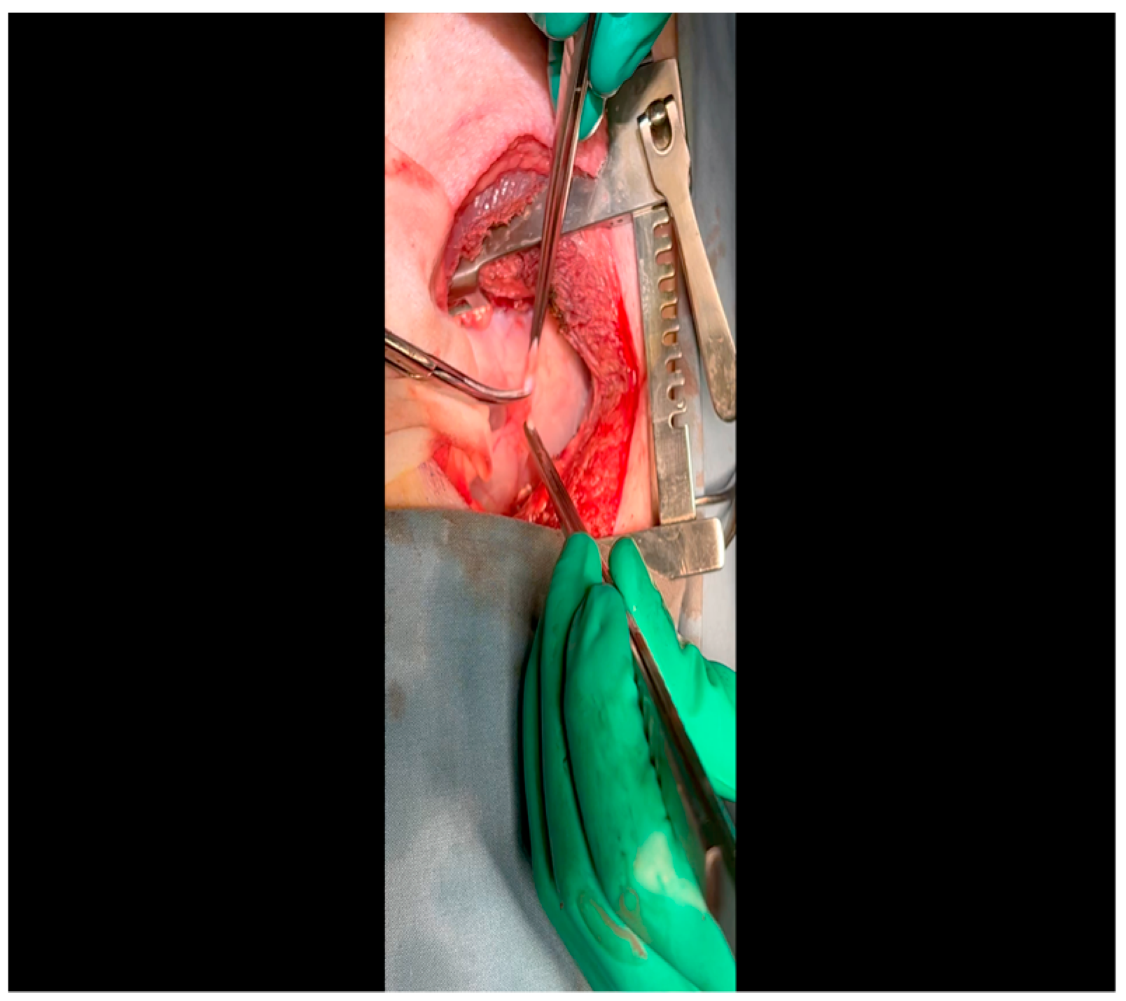 Mps 07 00017 g003 Mps 07 00017 g003