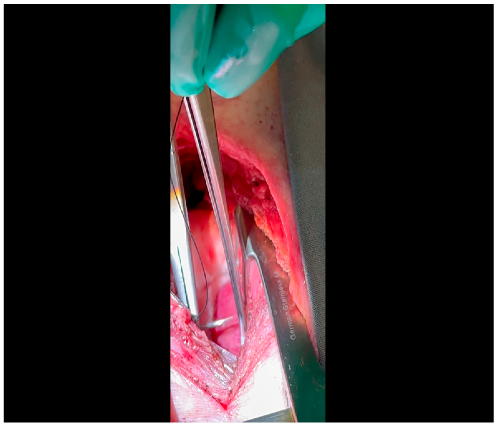 Mps 07 00017 g004 Mps 07 00017 g004