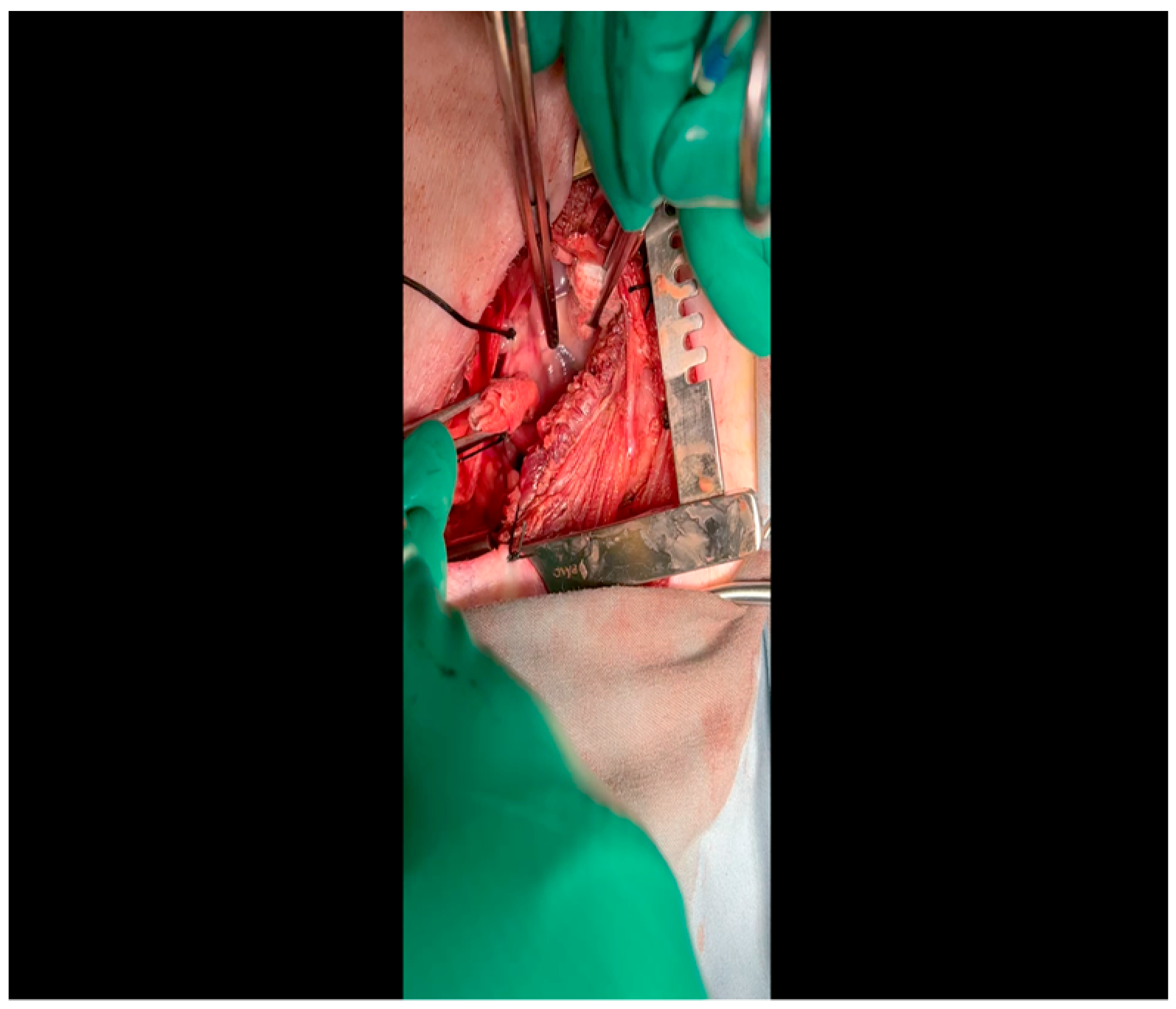 Mps 07 00017 g006 Mps 07 00017 g006