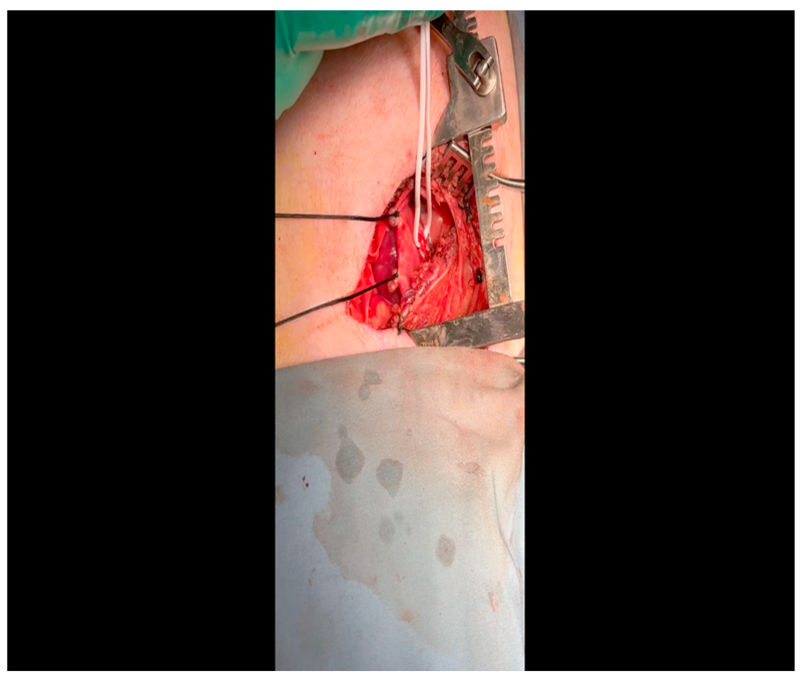 Mps 07 00017 g007 Mps 07 00017 g007