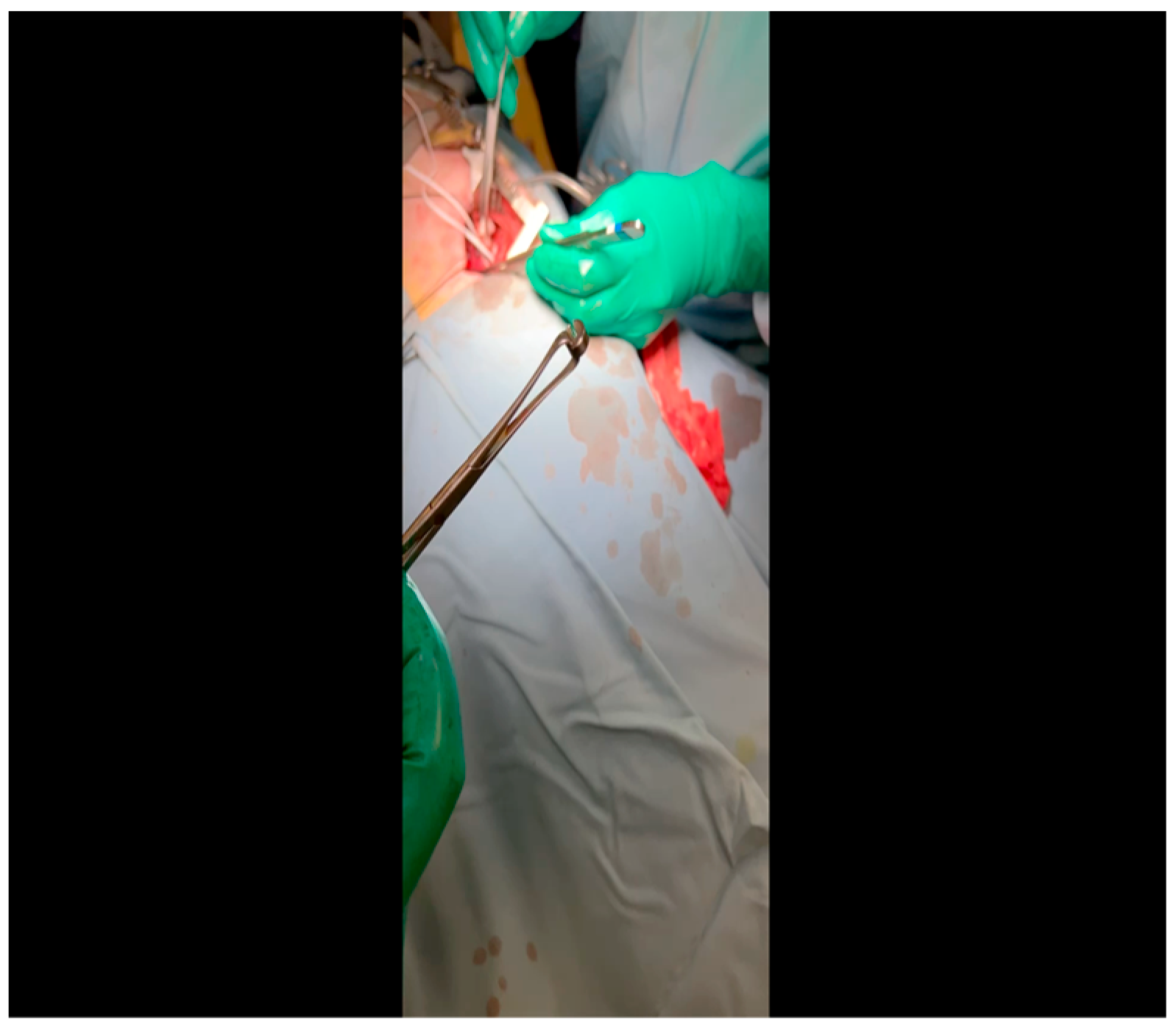 Mps 07 00017 g008 Mps 07 00017 g008