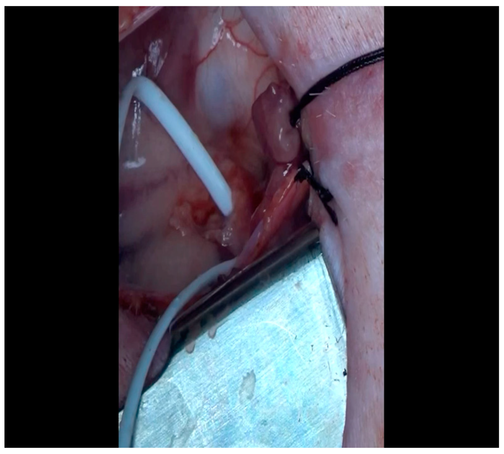 Mps 07 00017 g009 Mps 07 00017 g009