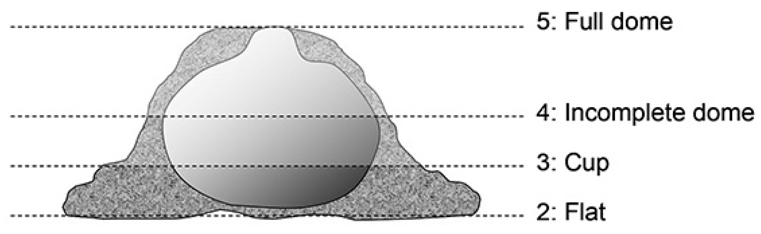 Mps 07 00018 g001 Mps 07 00018 g001