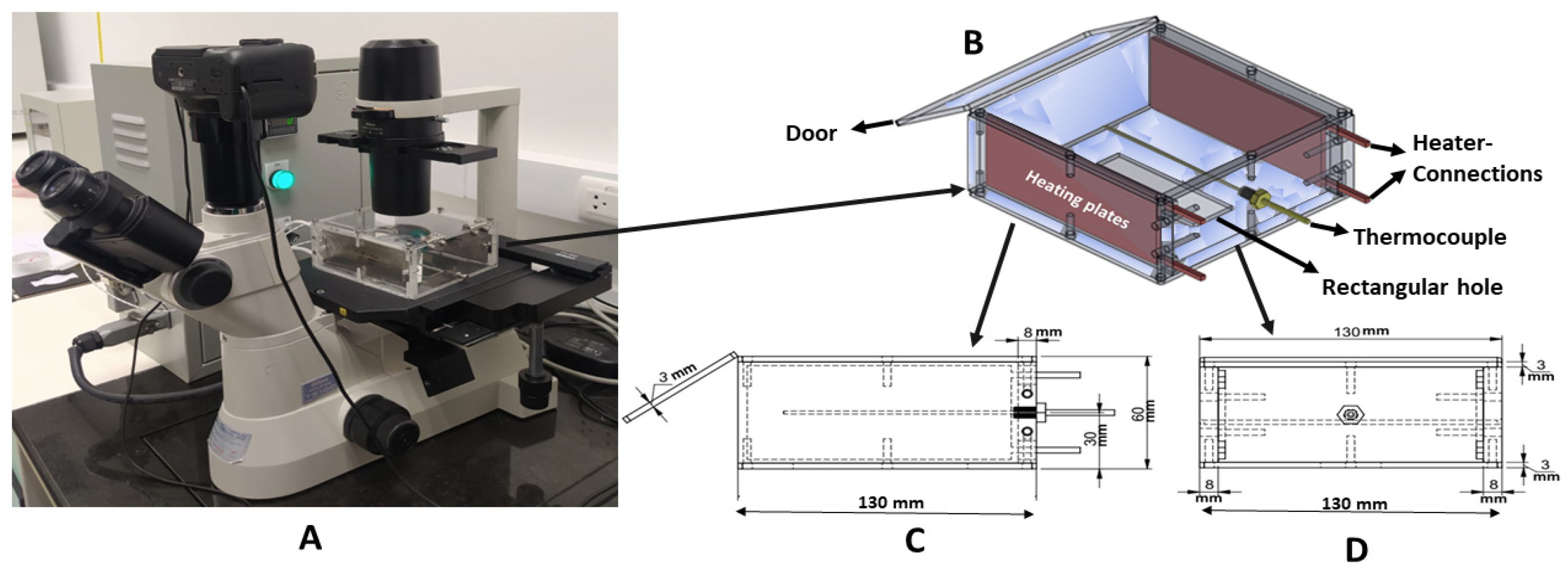 Mps 07 00069 g001 Mps 07 00069 g001