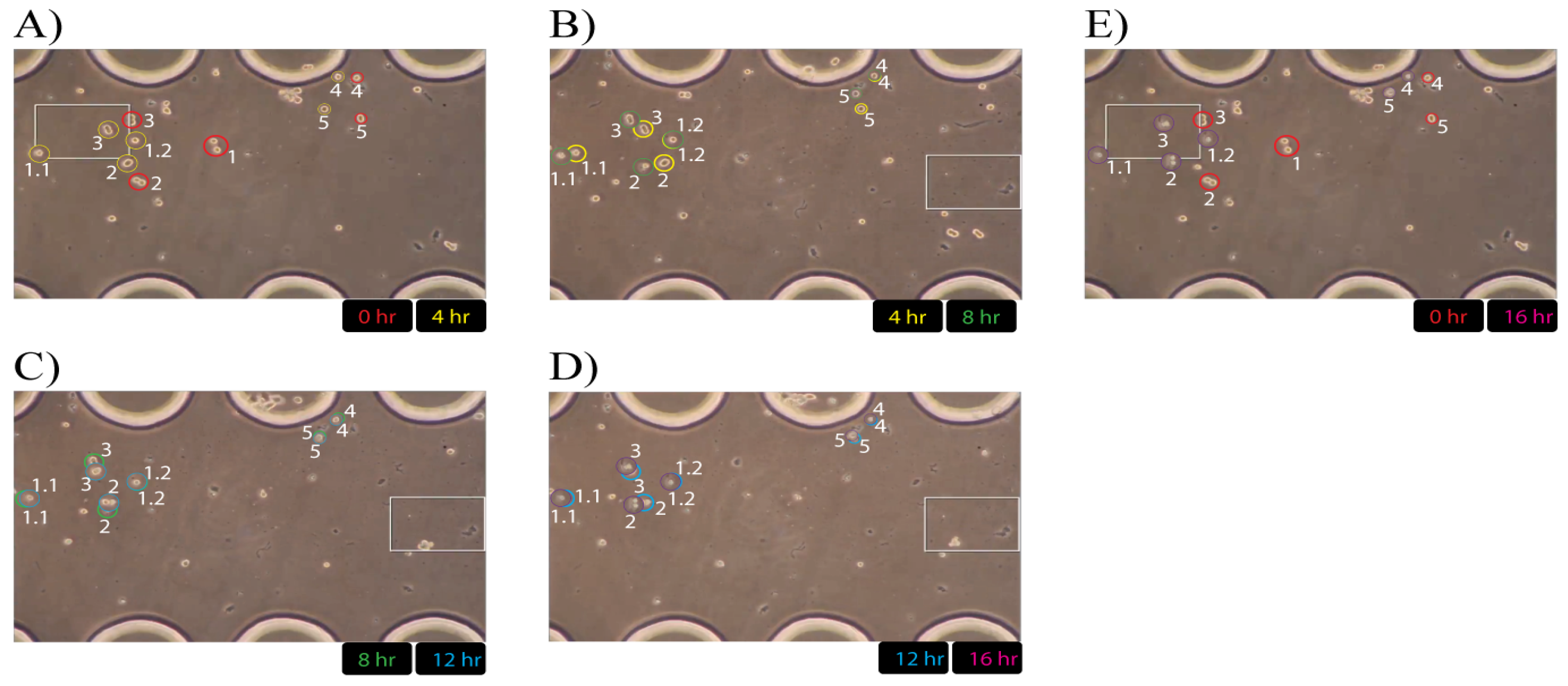 Mps 07 00069 g008 Mps 07 00069 g008