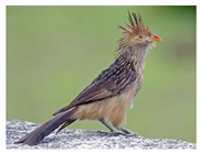 Mps 08 00017 i011 Mps 08 00017 i011