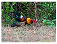 Mps 08 00017 i017 Mps 08 00017 i017