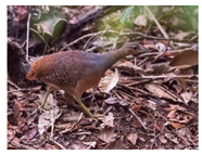 Mps 08 00017 i037 Mps 08 00017 i037