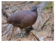 Mps 08 00017 i039 Mps 08 00017 i039