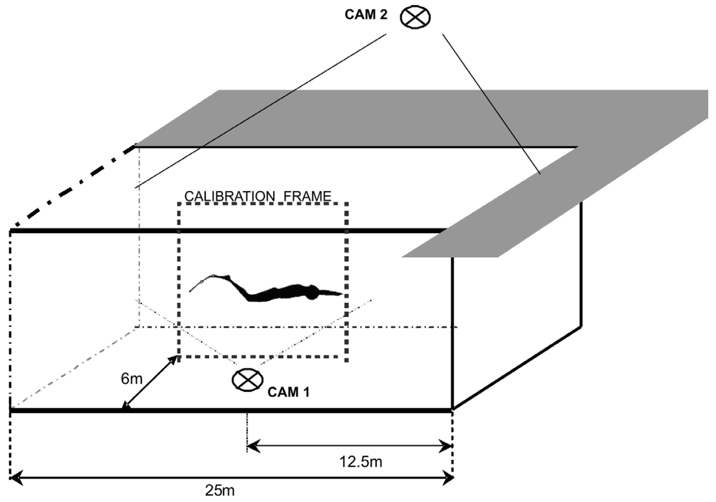 Mps 08 00019 g001 Mps 08 00019 g001
