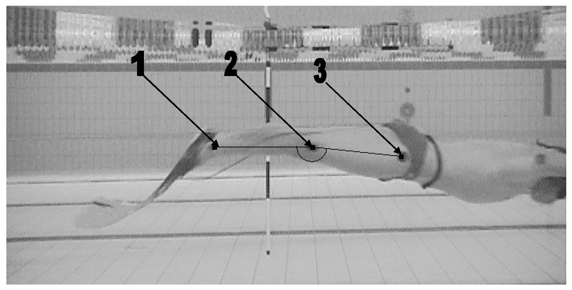 Mps 08 00019 g002 Mps 08 00019 g002