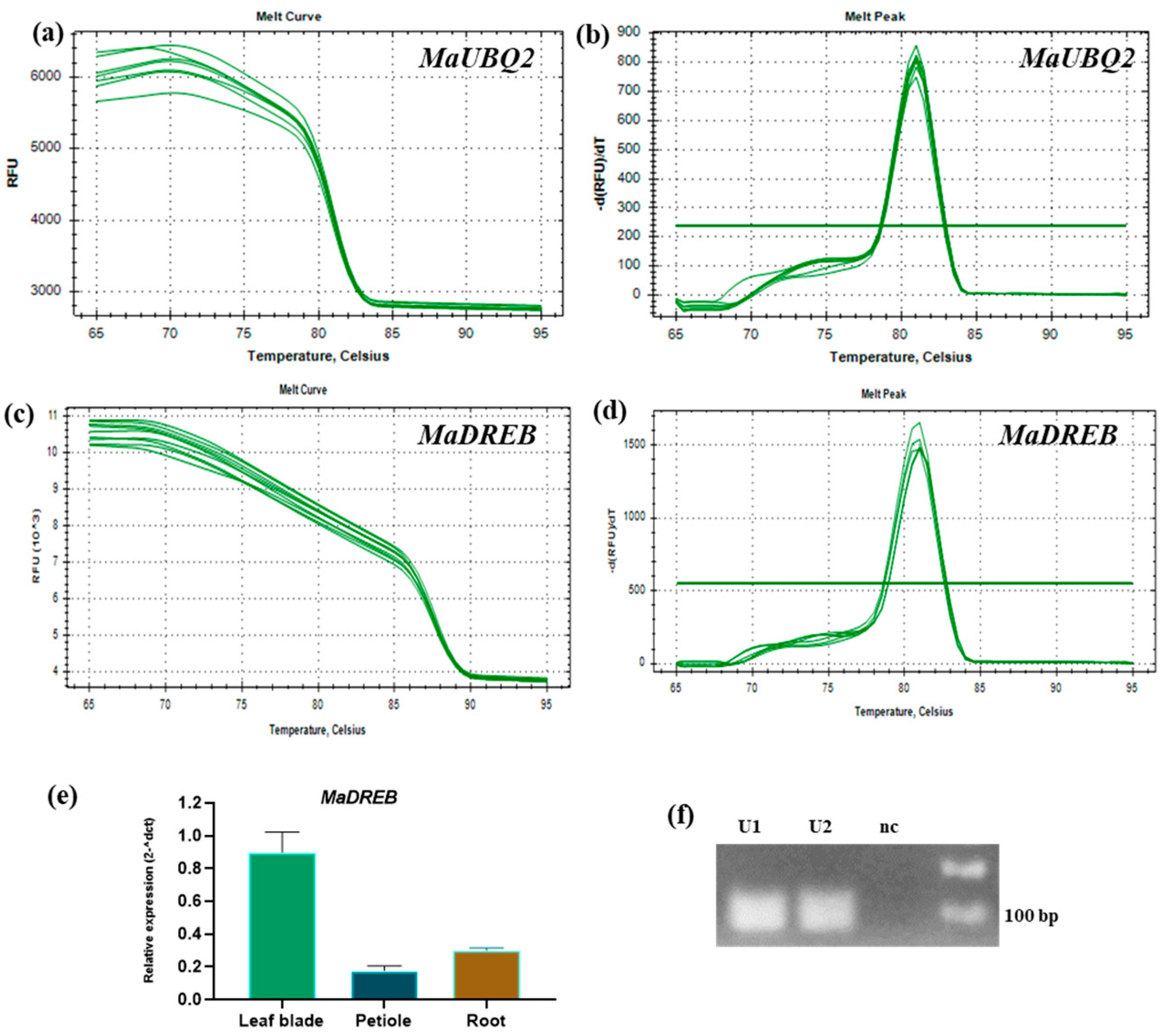 Mps 08 00021 g006 Mps 08 00021 g006