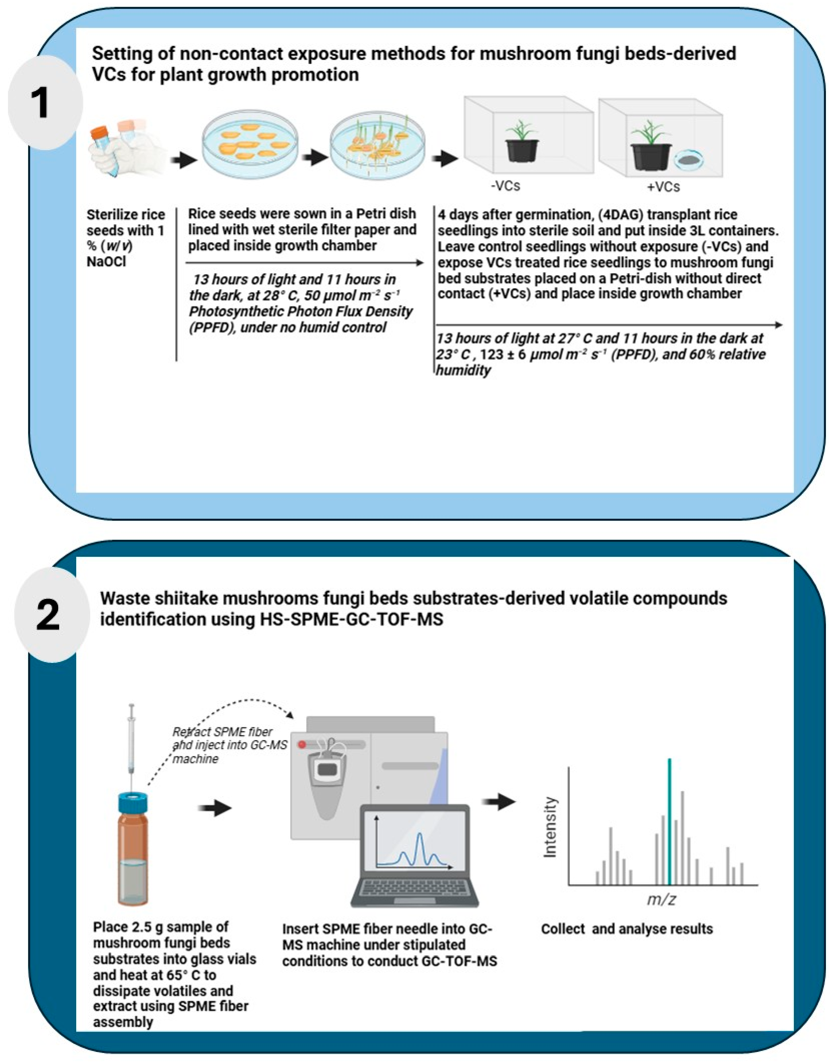Mps 08 00029 g001 Mps 08 00029 g001