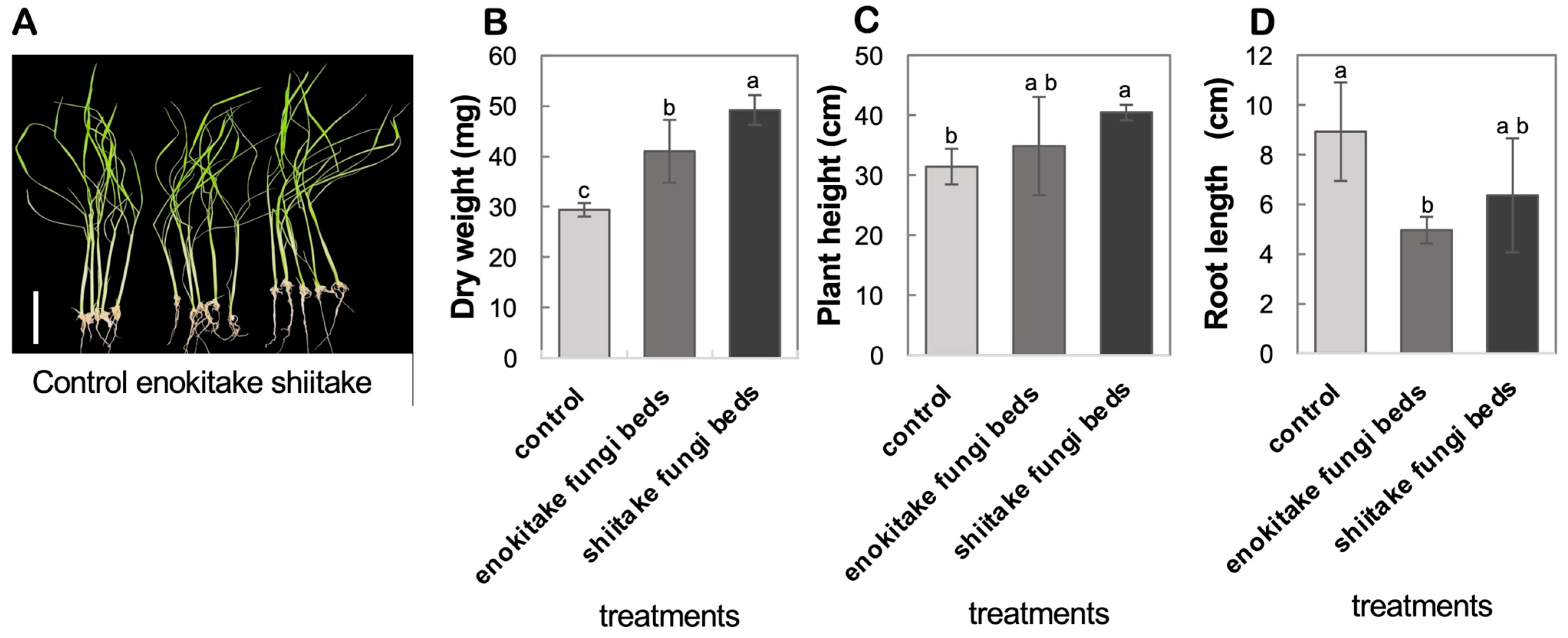 Mps 08 00029 g002 Mps 08 00029 g002