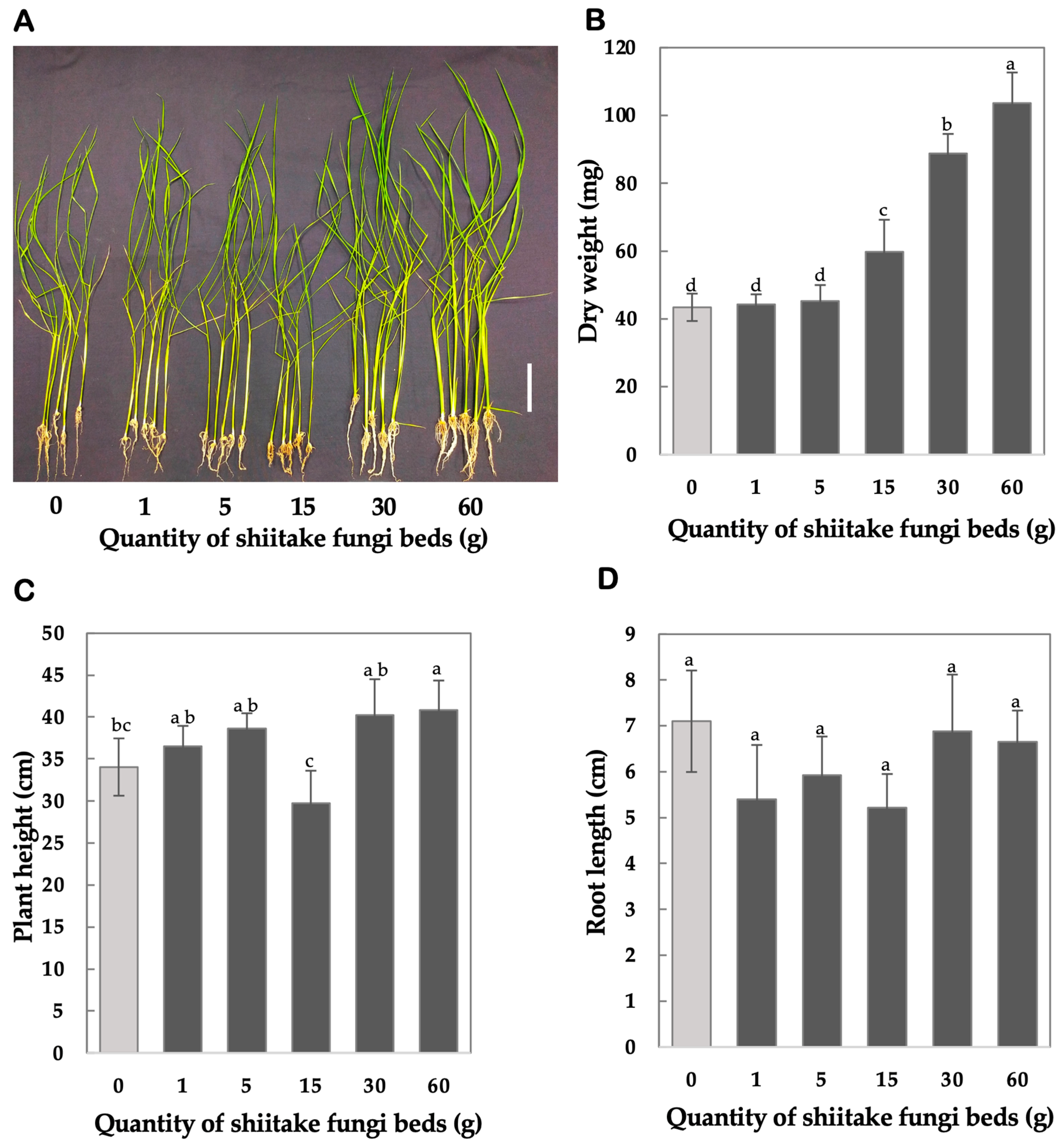 Mps 08 00029 g003 Mps 08 00029 g003