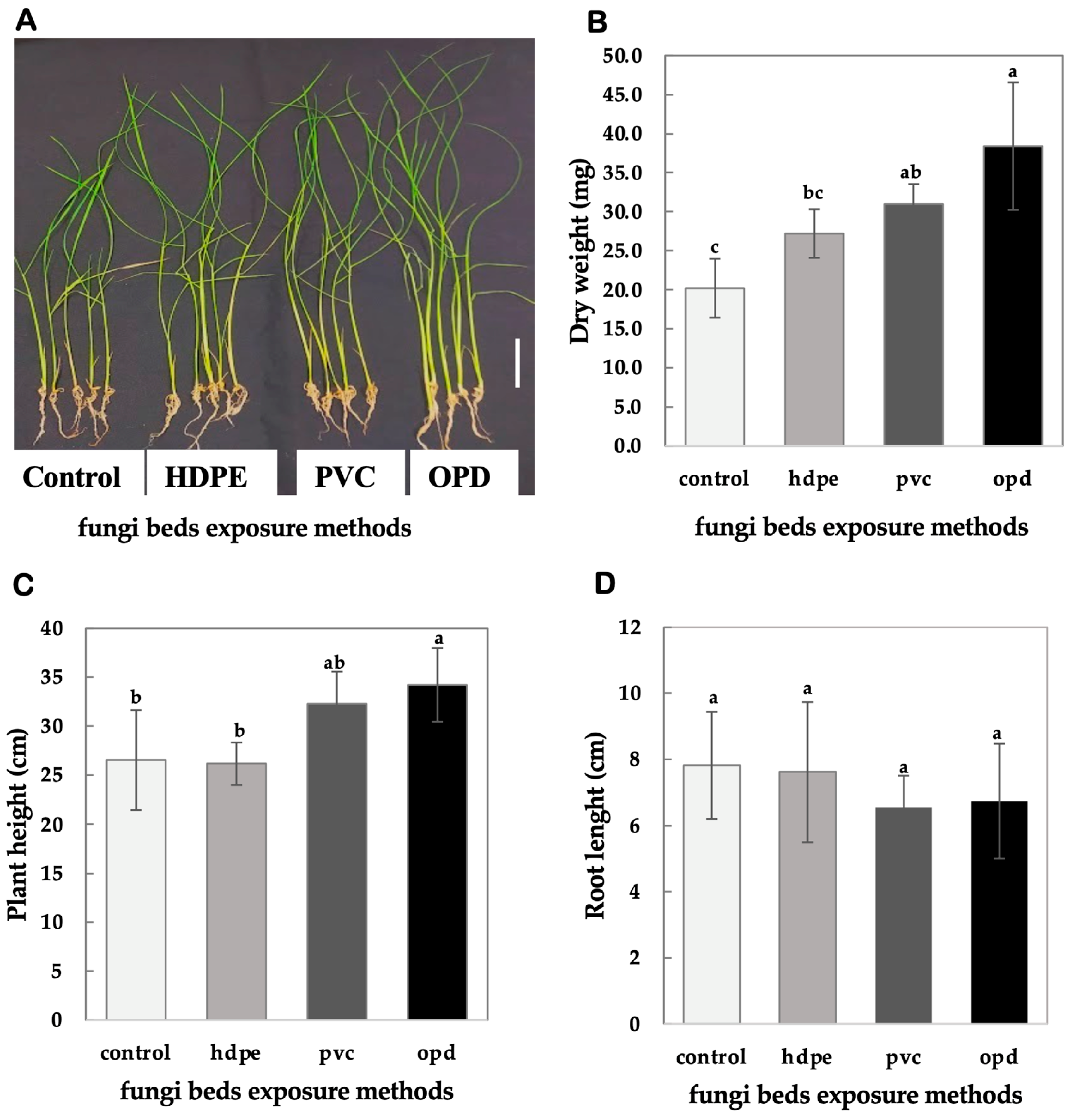 Mps 08 00029 g004 Mps 08 00029 g004