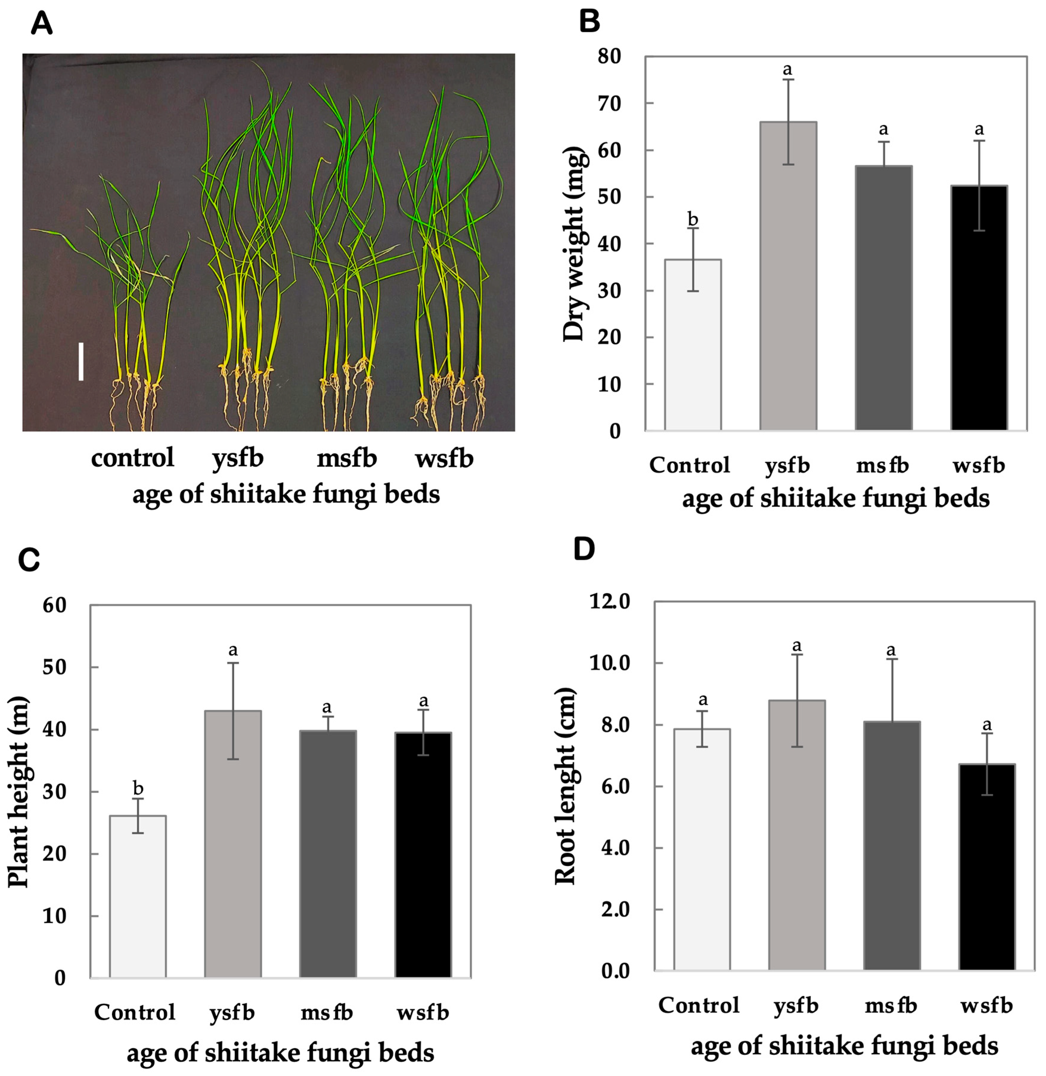 Mps 08 00029 g005 Mps 08 00029 g005