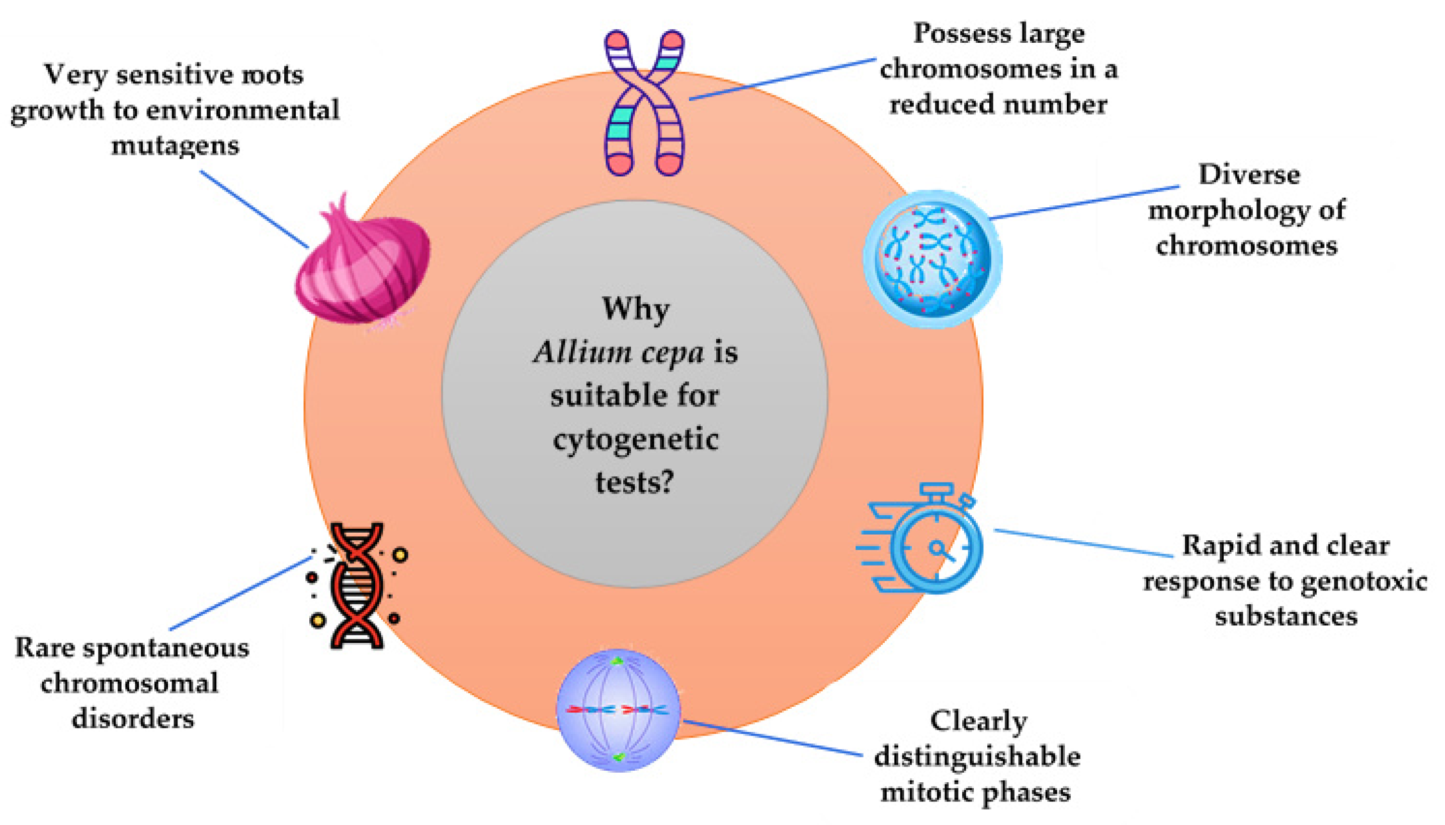 Mps 08 00088 g003 Mps 08 00088 g003