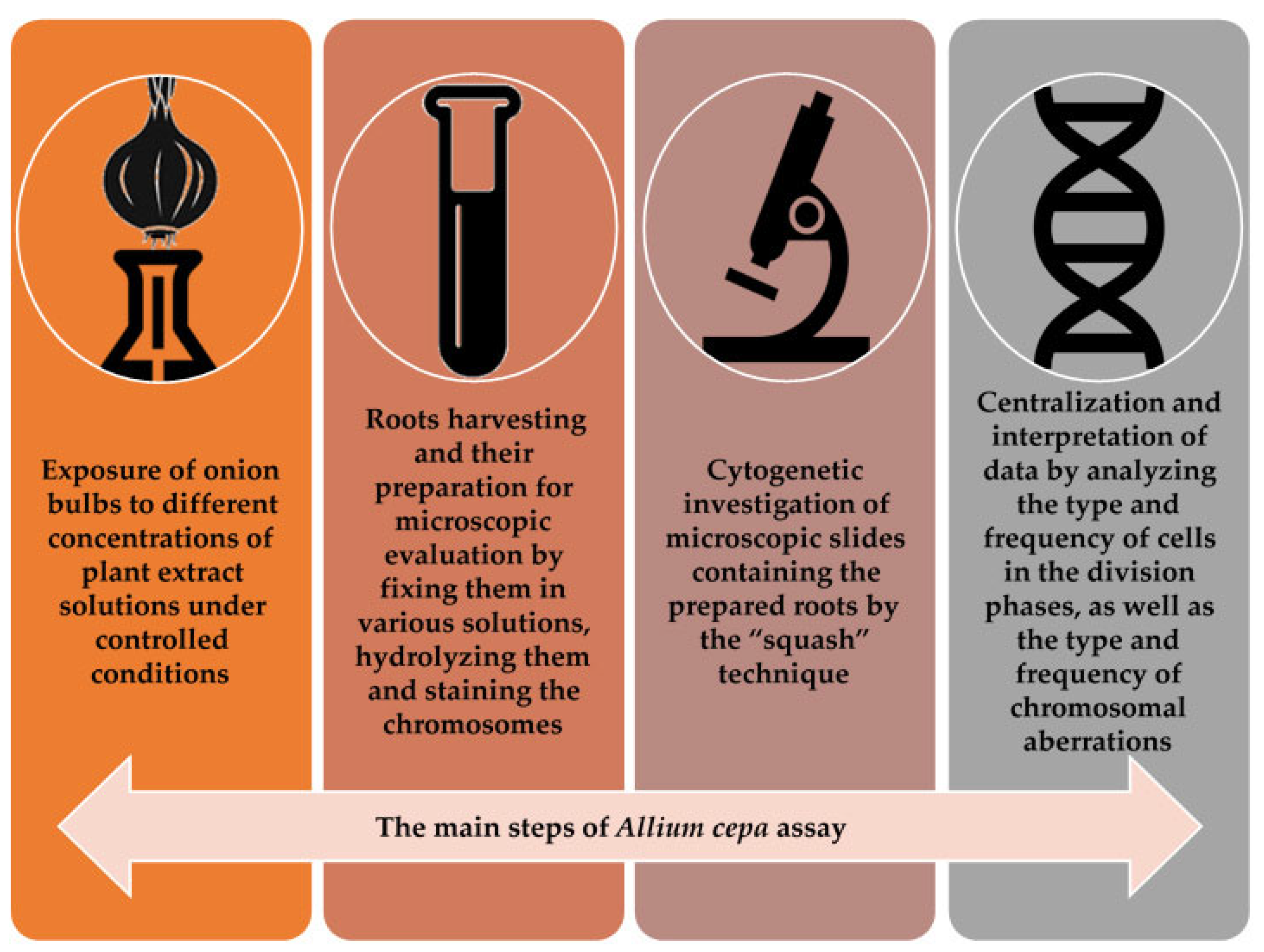 Mps 08 00088 g004 Mps 08 00088 g004