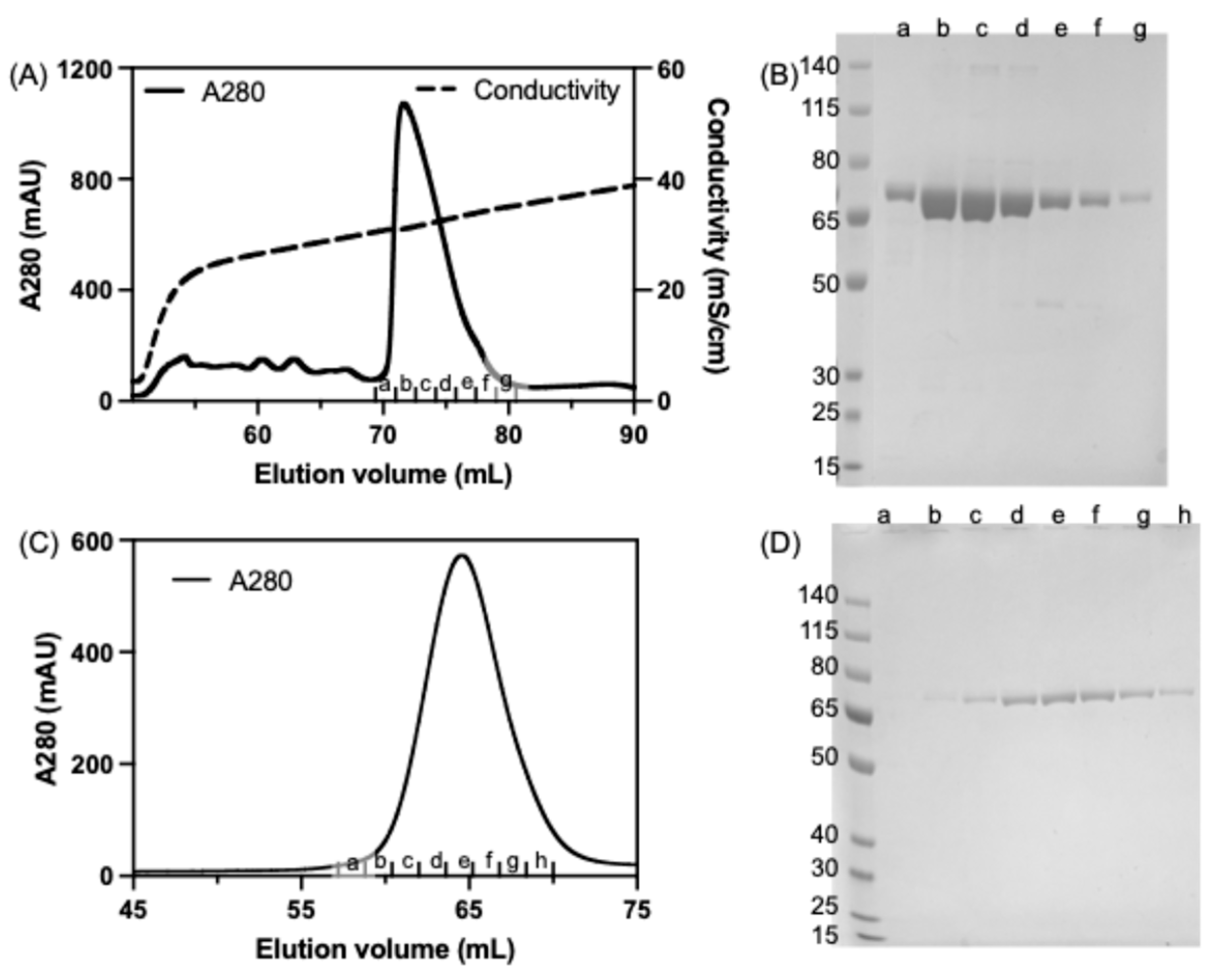 Mps 08 00103 g003 Mps 08 00103 g003